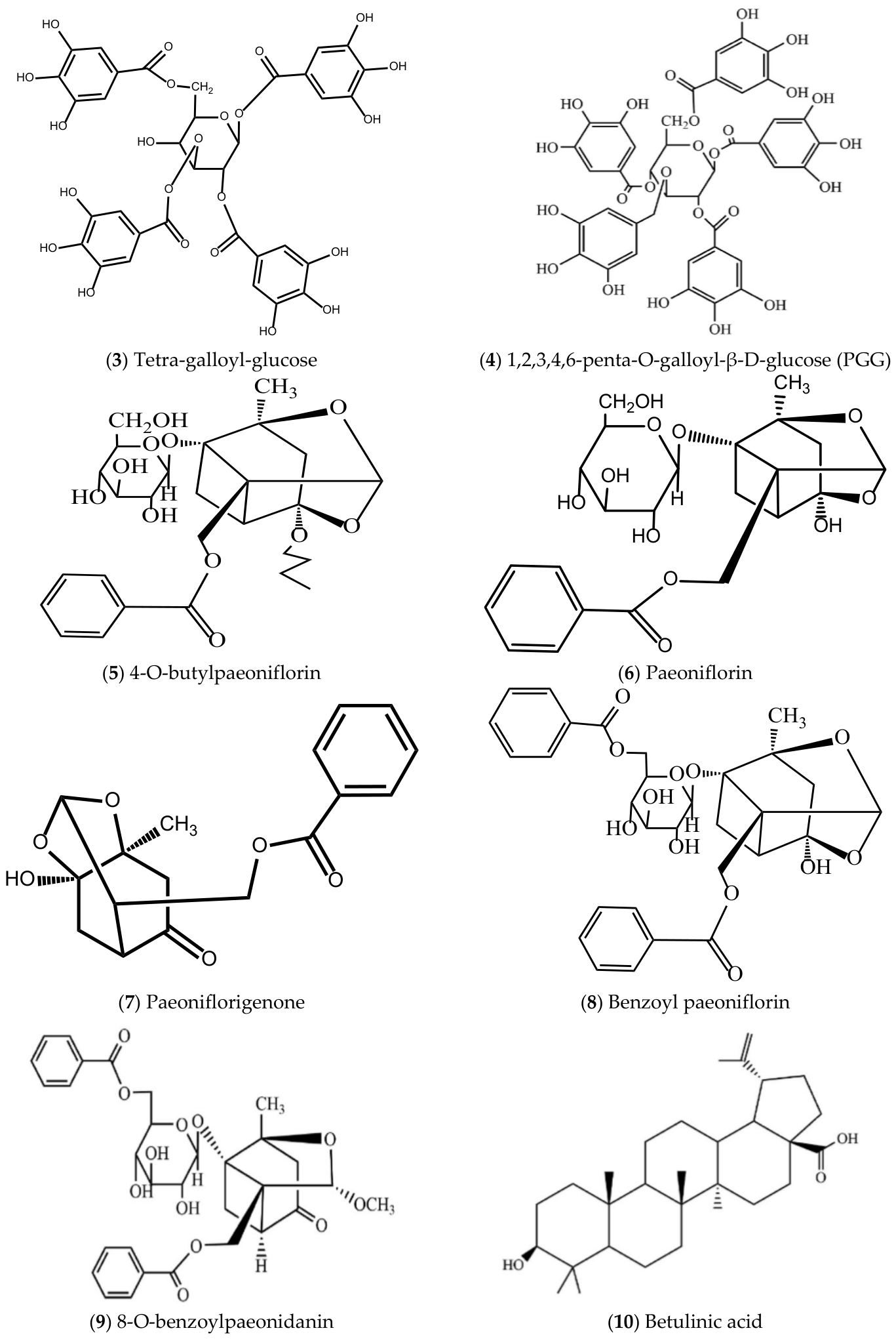 Molecules 31 01514 g003b