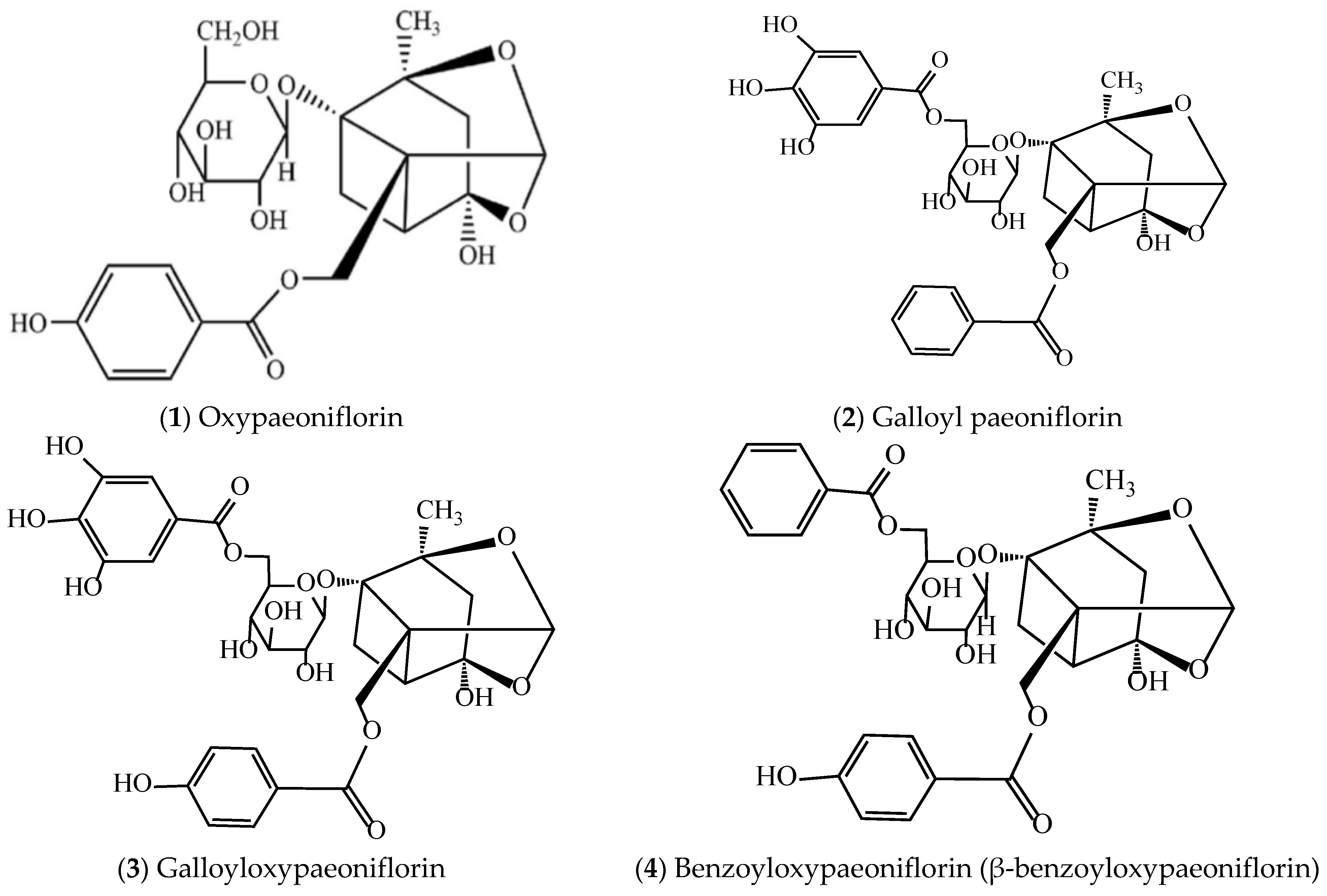 Molecules 31 01514 g005a