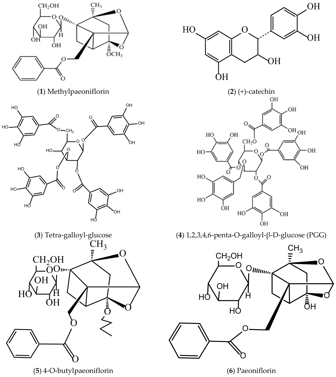 Molecules 31 01514 g006a