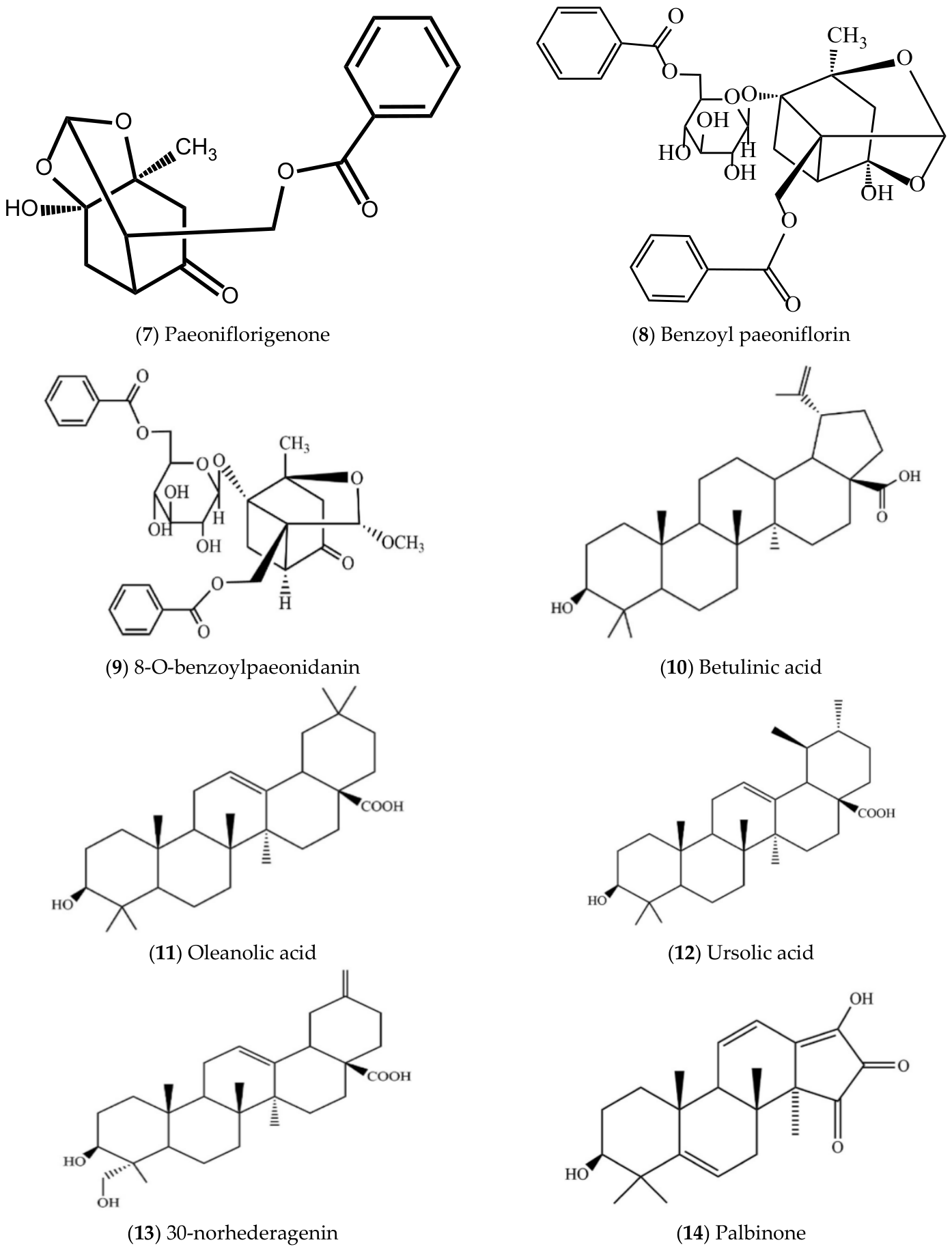 Molecules 31 01514 g006b
