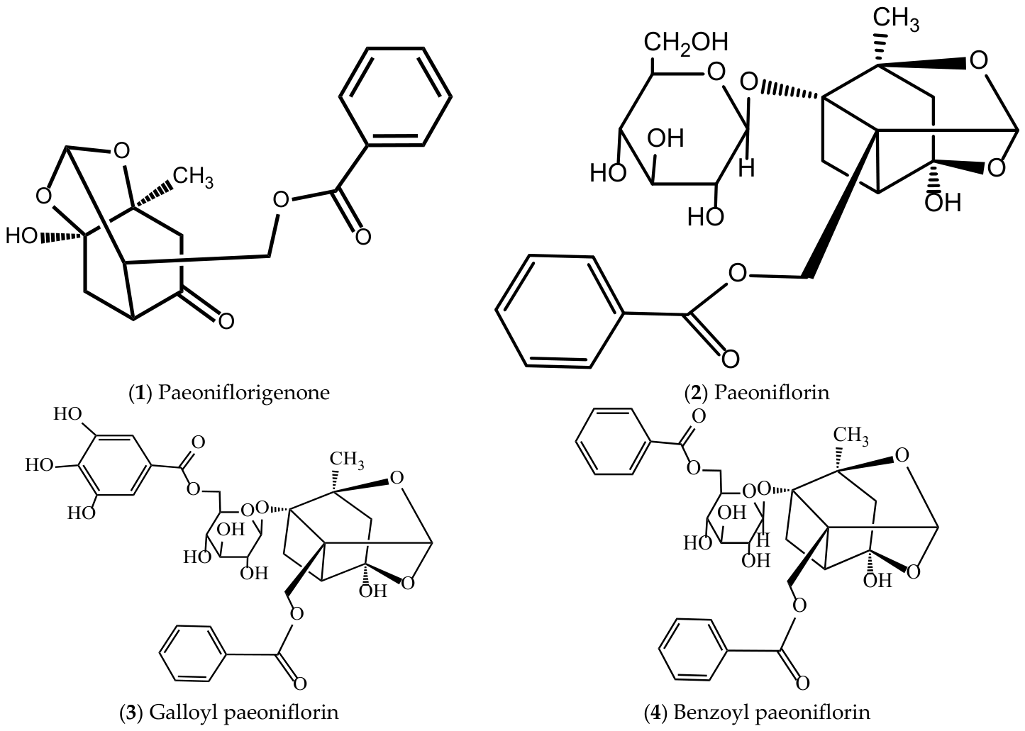 Molecules 31 01514 g007a