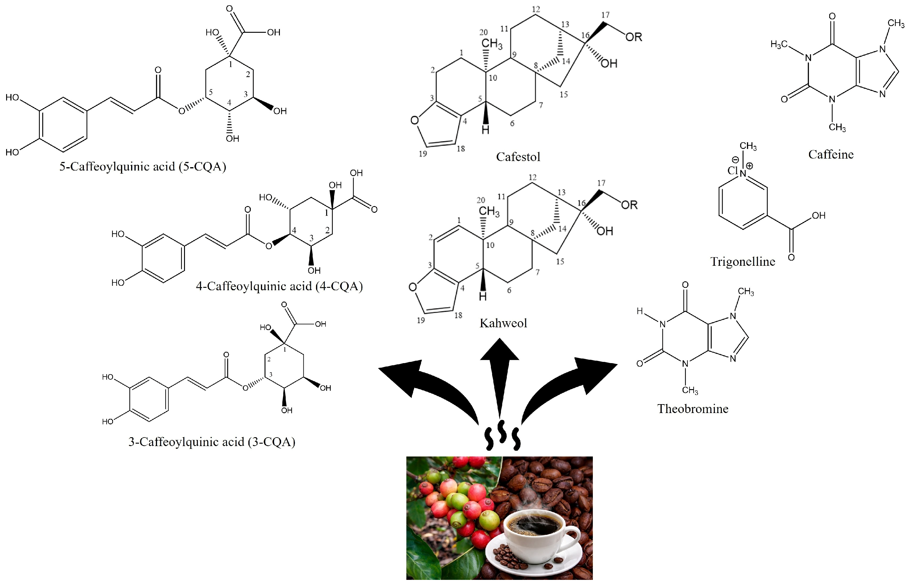 Molecules 31 01518 g005