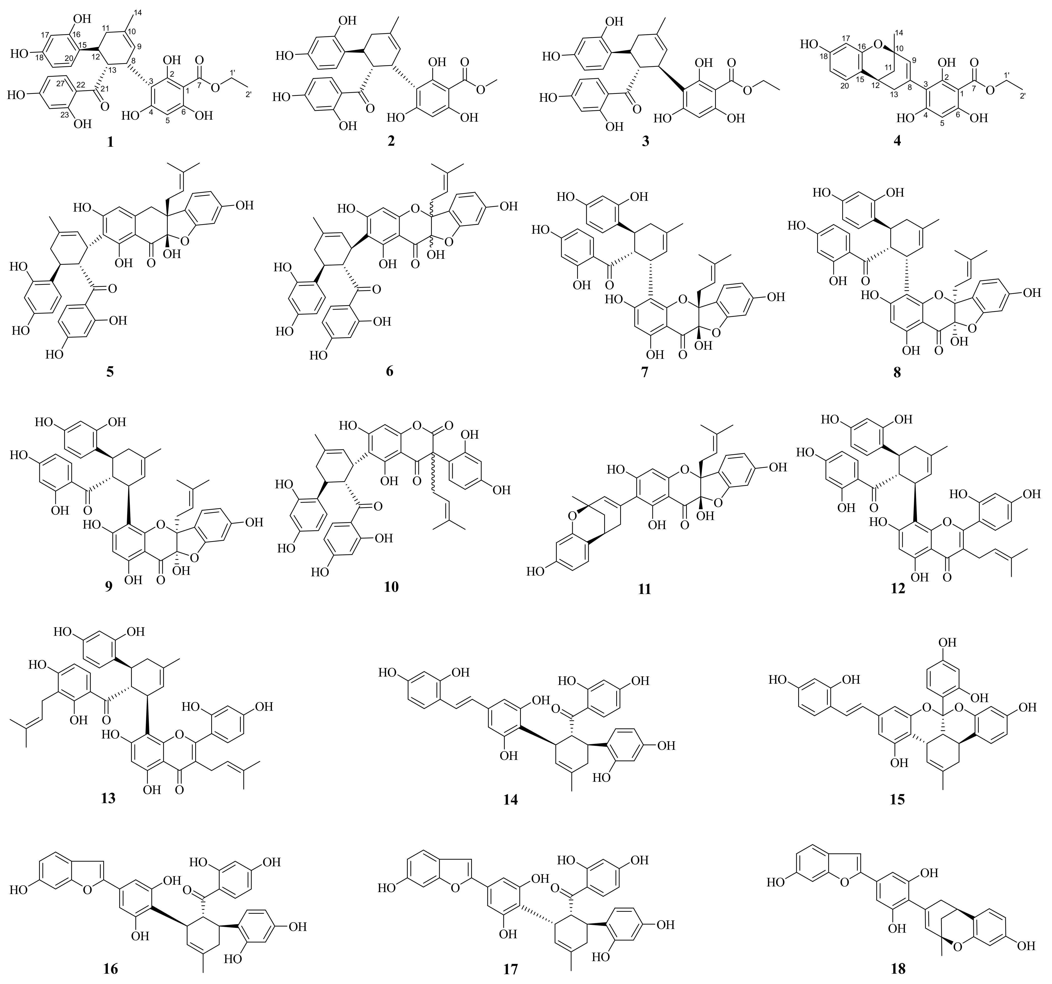 Molecules 31 01574 g001 Molecules 31 01574 g001
