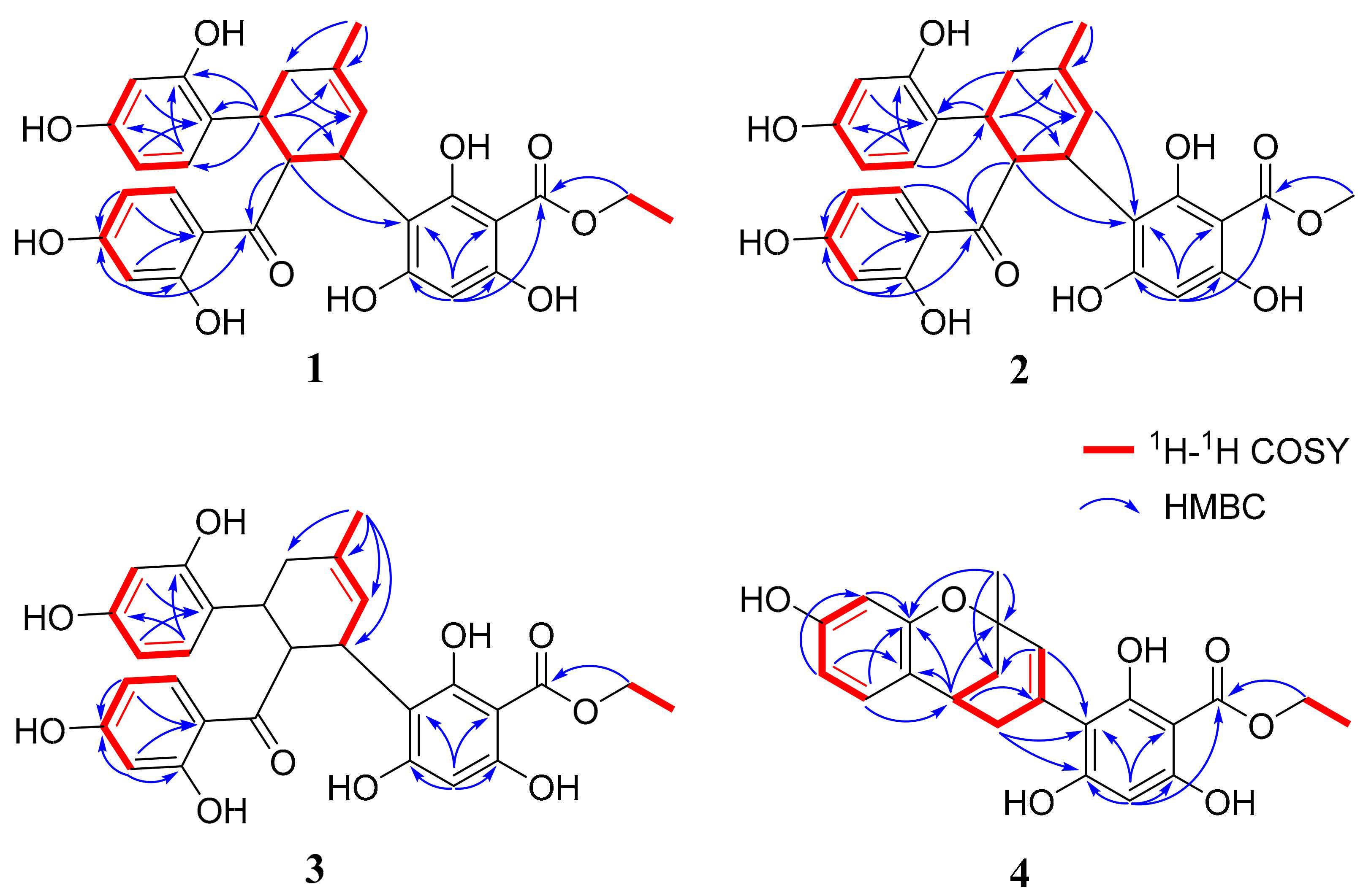 Molecules 31 01574 g002 Molecules 31 01574 g002