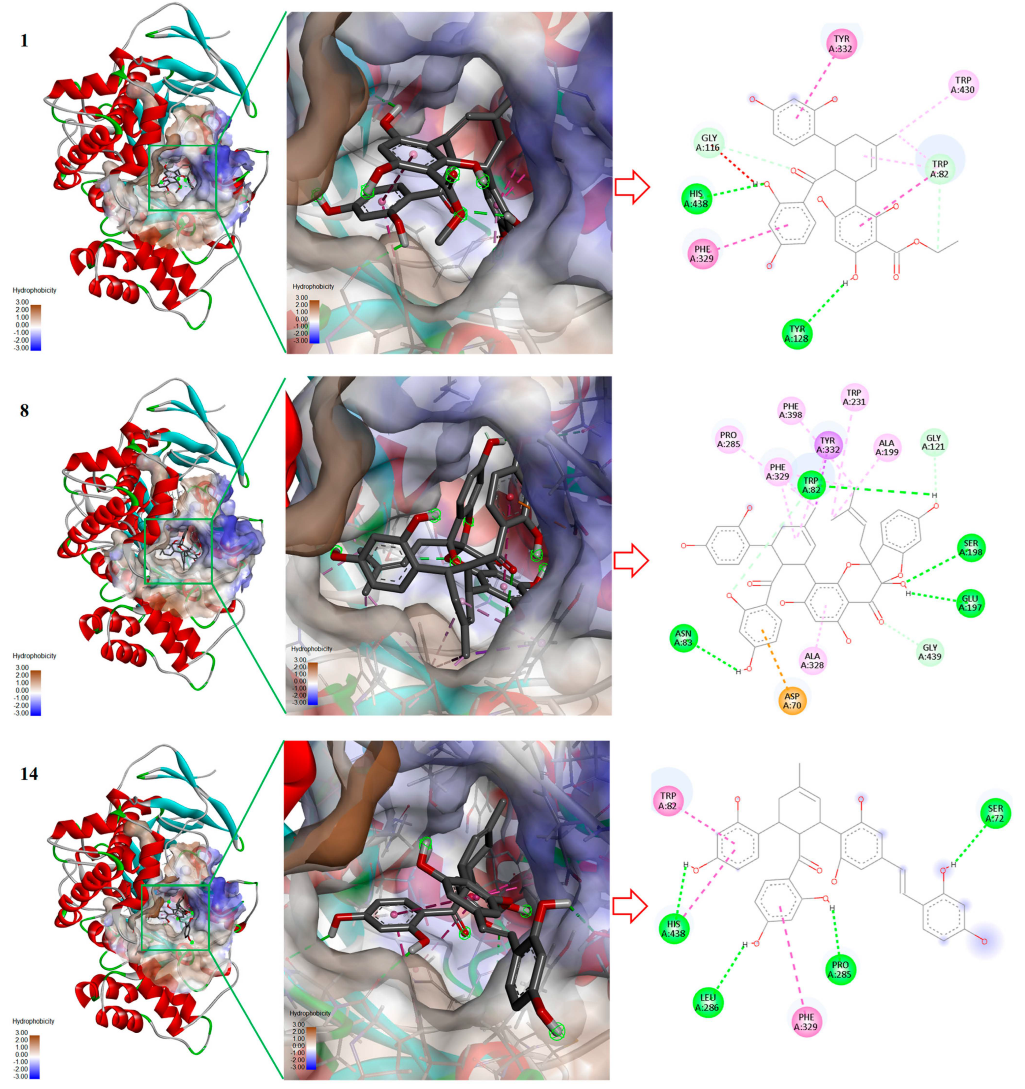 Molecules 31 01574 g006 Molecules 31 01574 g006
