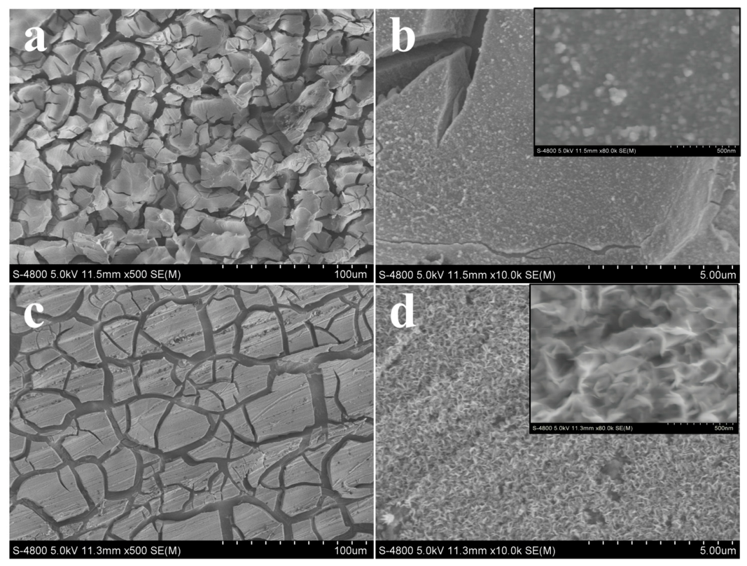 Molecules 31 01603 g002 Molecules 31 01603 g002