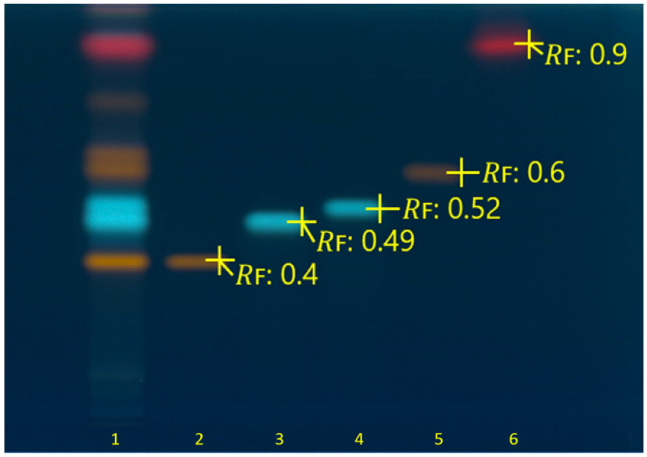 Molecules 31 01628 g001 Molecules 31 01628 g001