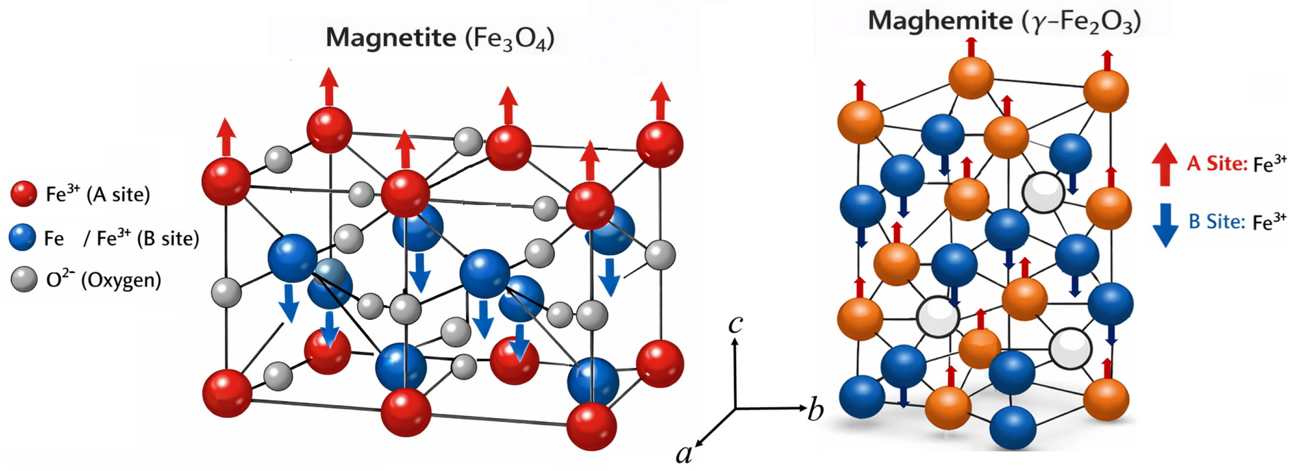 Molecules 31 01629 g005 Molecules 31 01629 g005