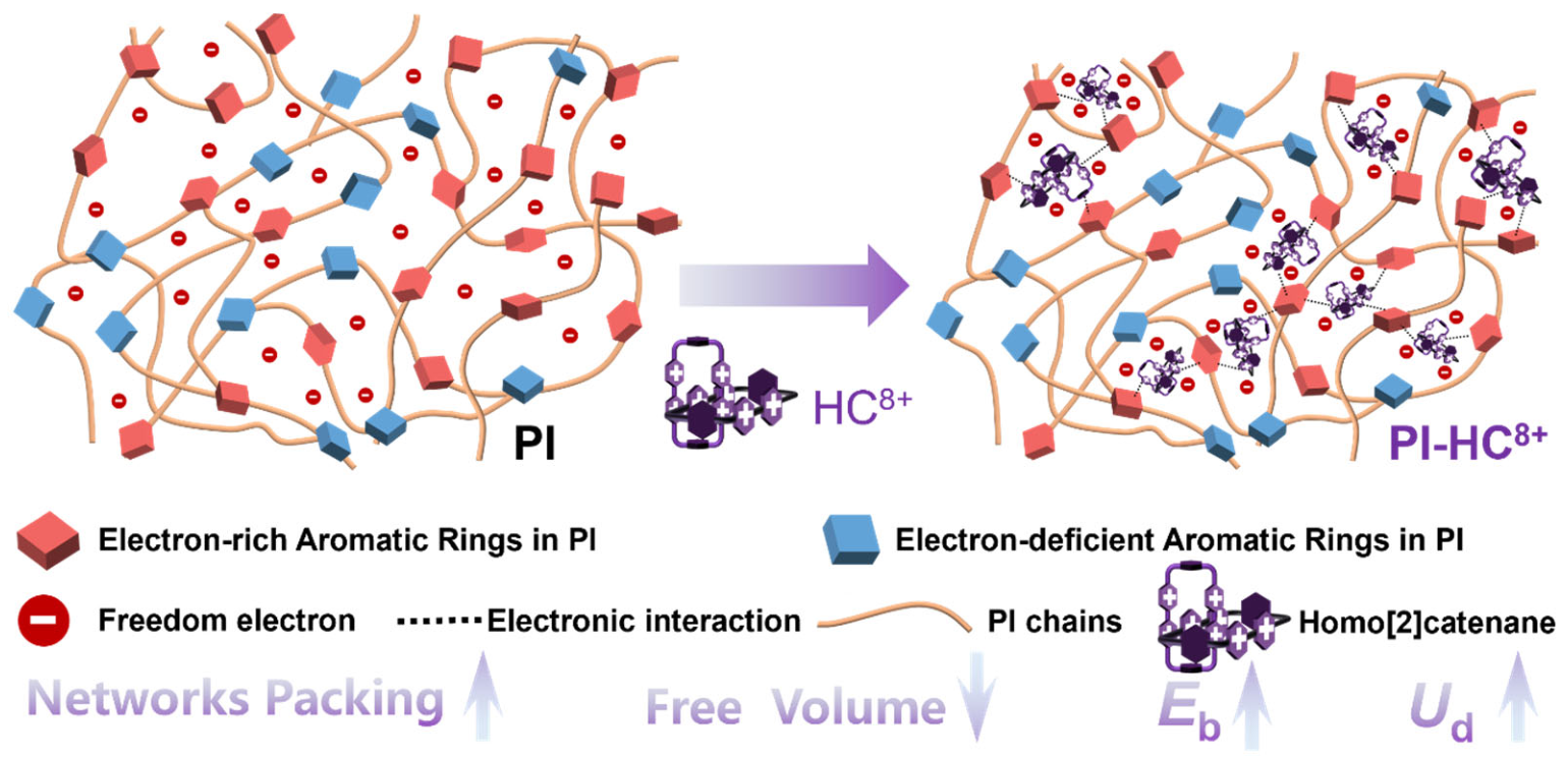 Molecules 31 01691 g001 Molecules 31 01691 g001