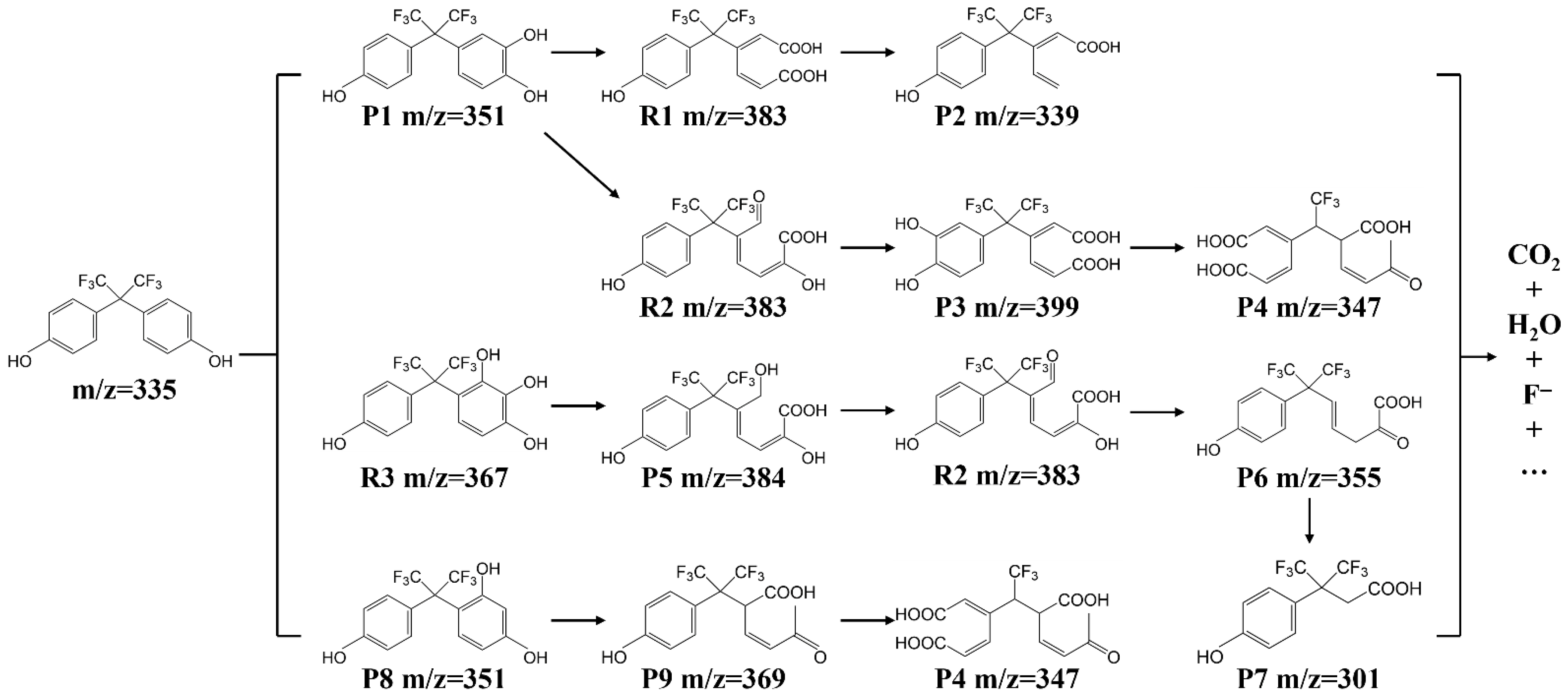 Molecules 31 01713 g010 Molecules 31 01713 g010