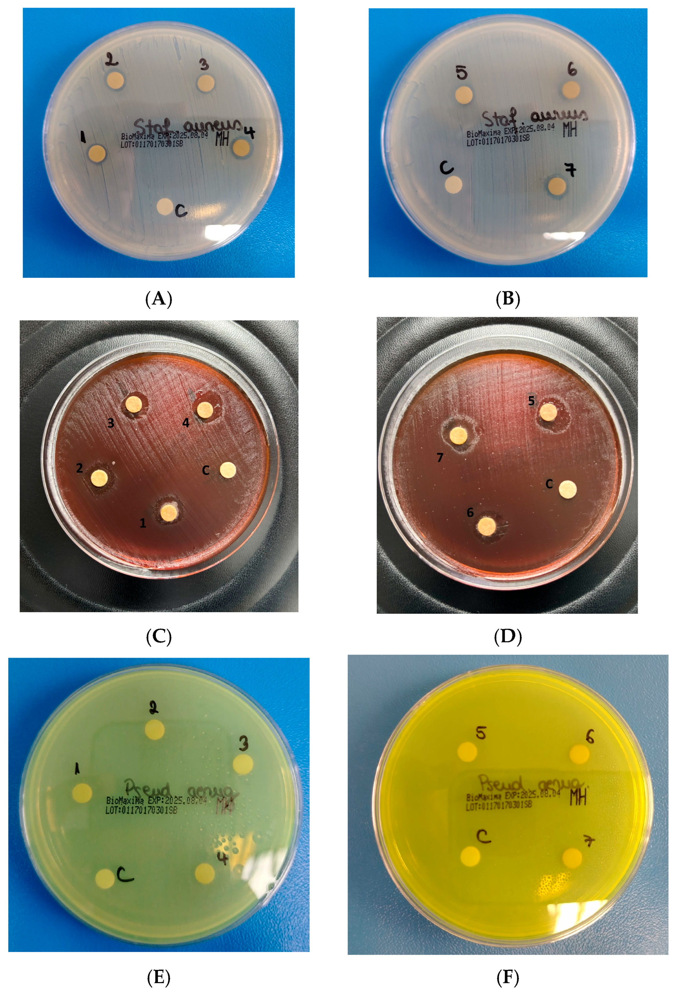 Molecules 31 01735 g001 Molecules 31 01735 g001