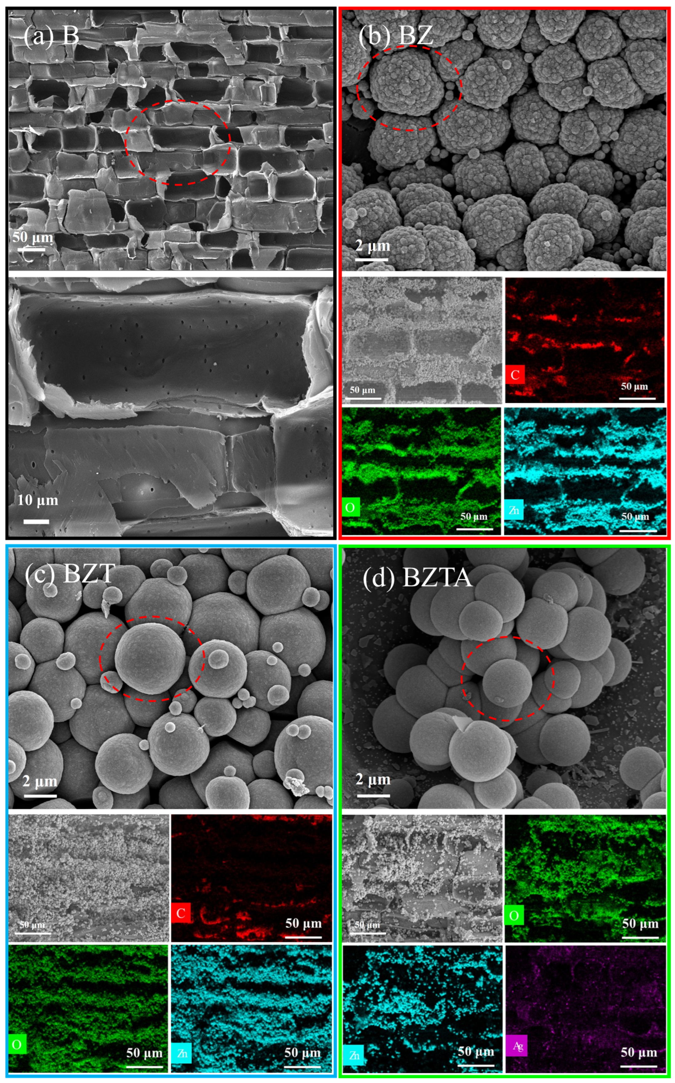 Molecules 31 01737 g007 Molecules 31 01737 g007