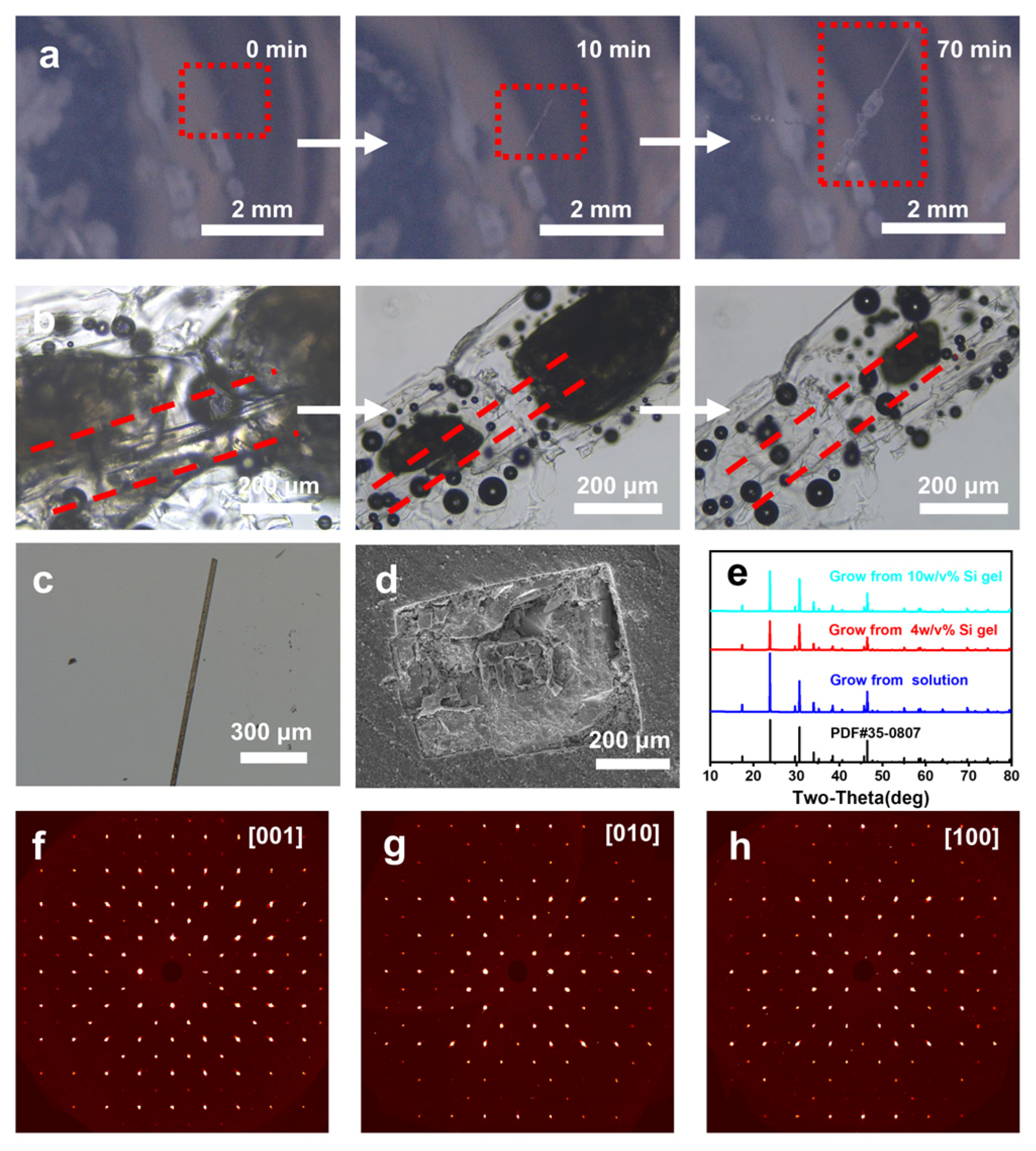 Molecules 31 01744 g002 Molecules 31 01744 g002