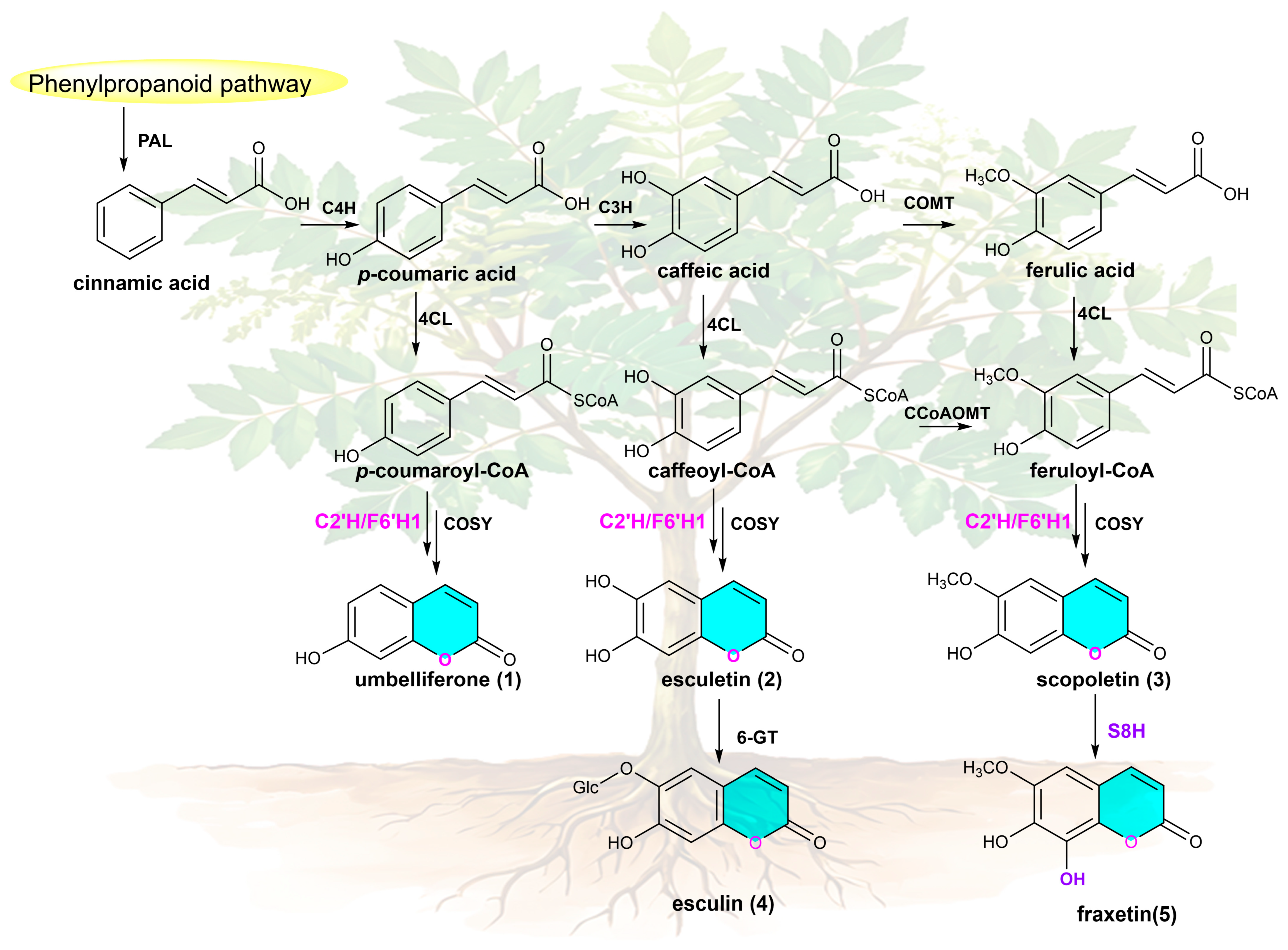 Molecules 31 01787 g001 Molecules 31 01787 g001