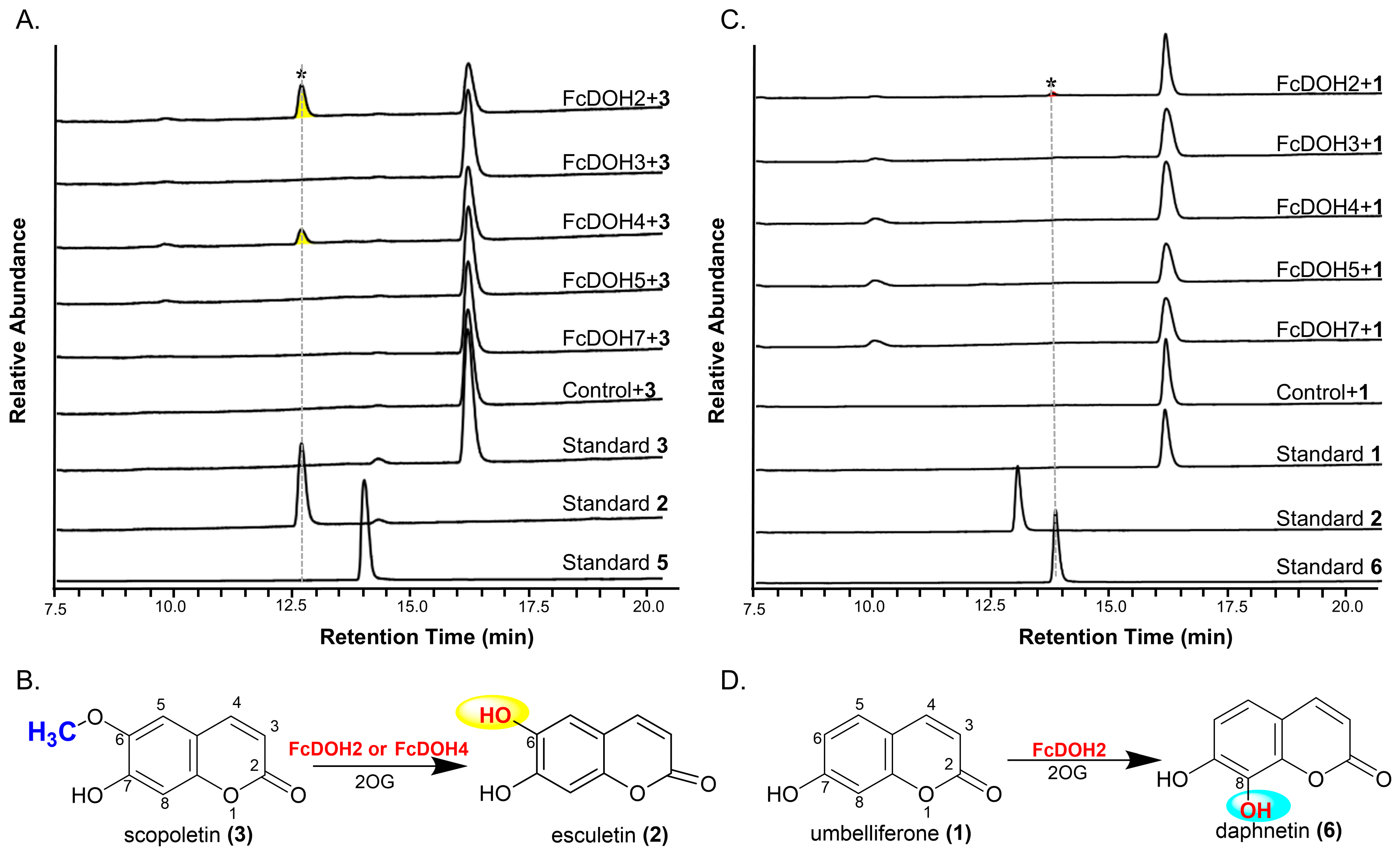 Molecules 31 01787 g003 Molecules 31 01787 g003