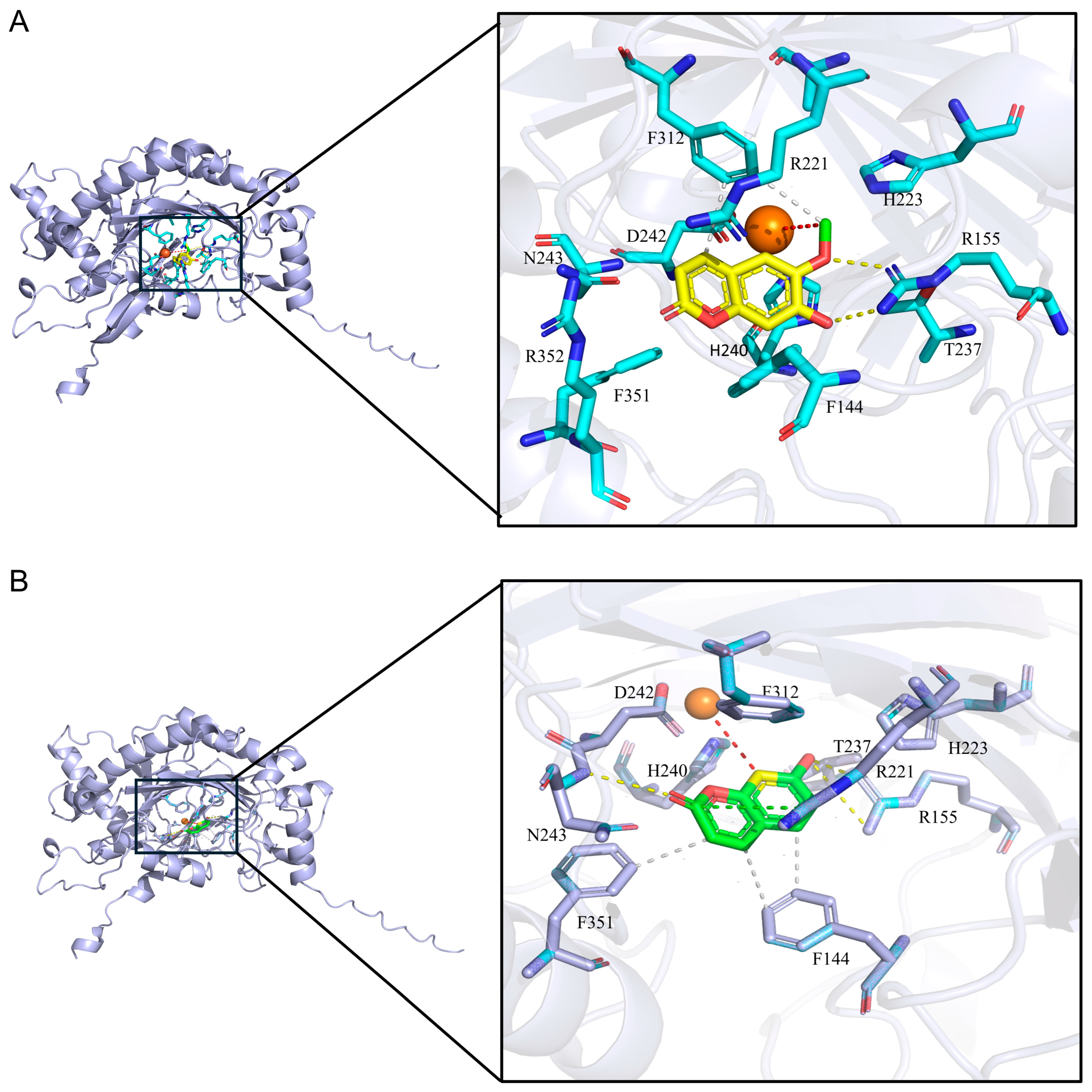 Molecules 31 01787 g004 Molecules 31 01787 g004