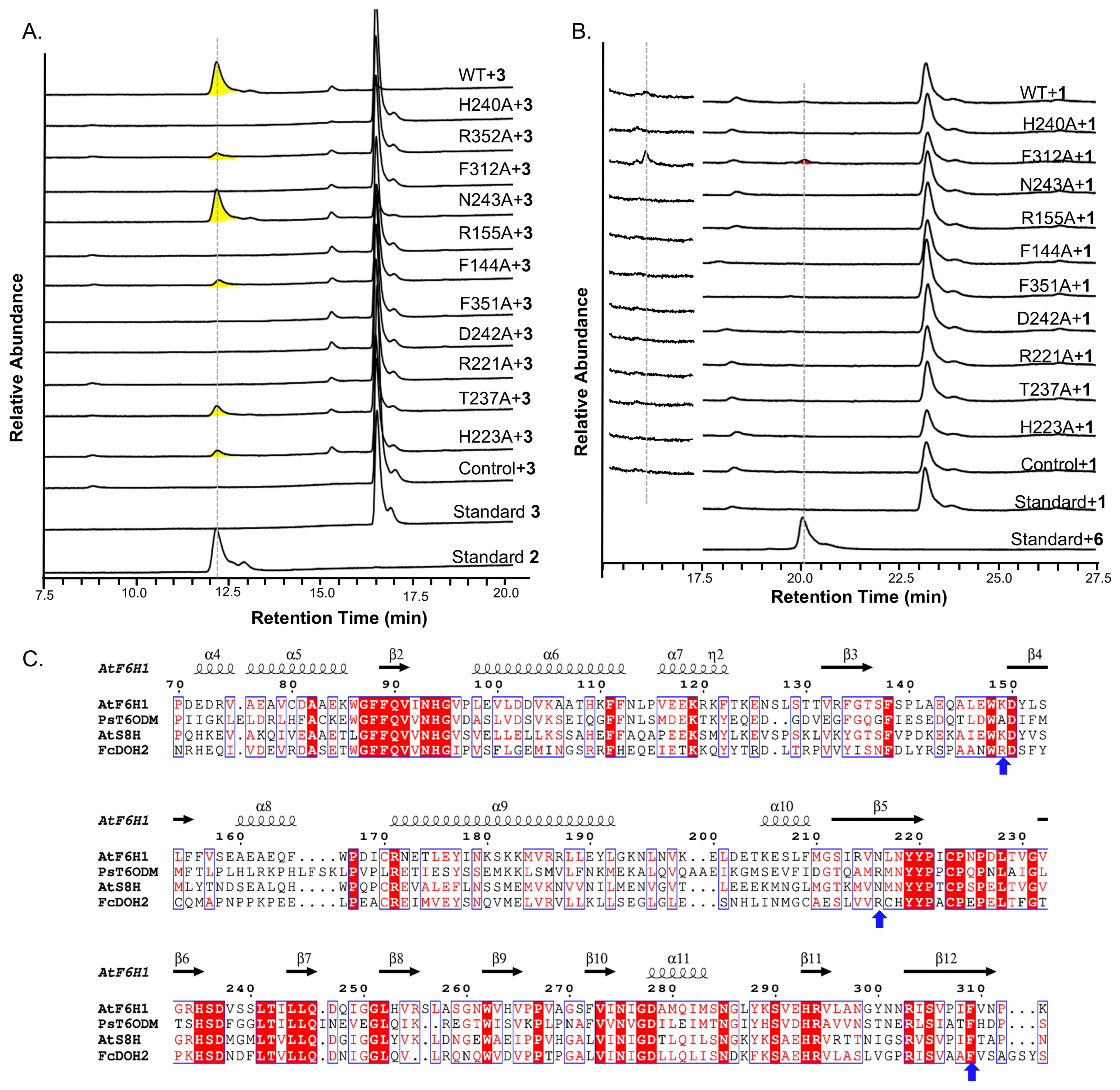Molecules 31 01787 g005 Molecules 31 01787 g005