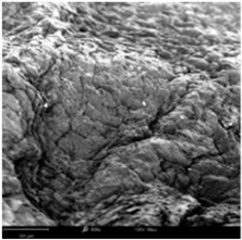 Molecules 31 01789 i014 Molecules 31 01789 i014