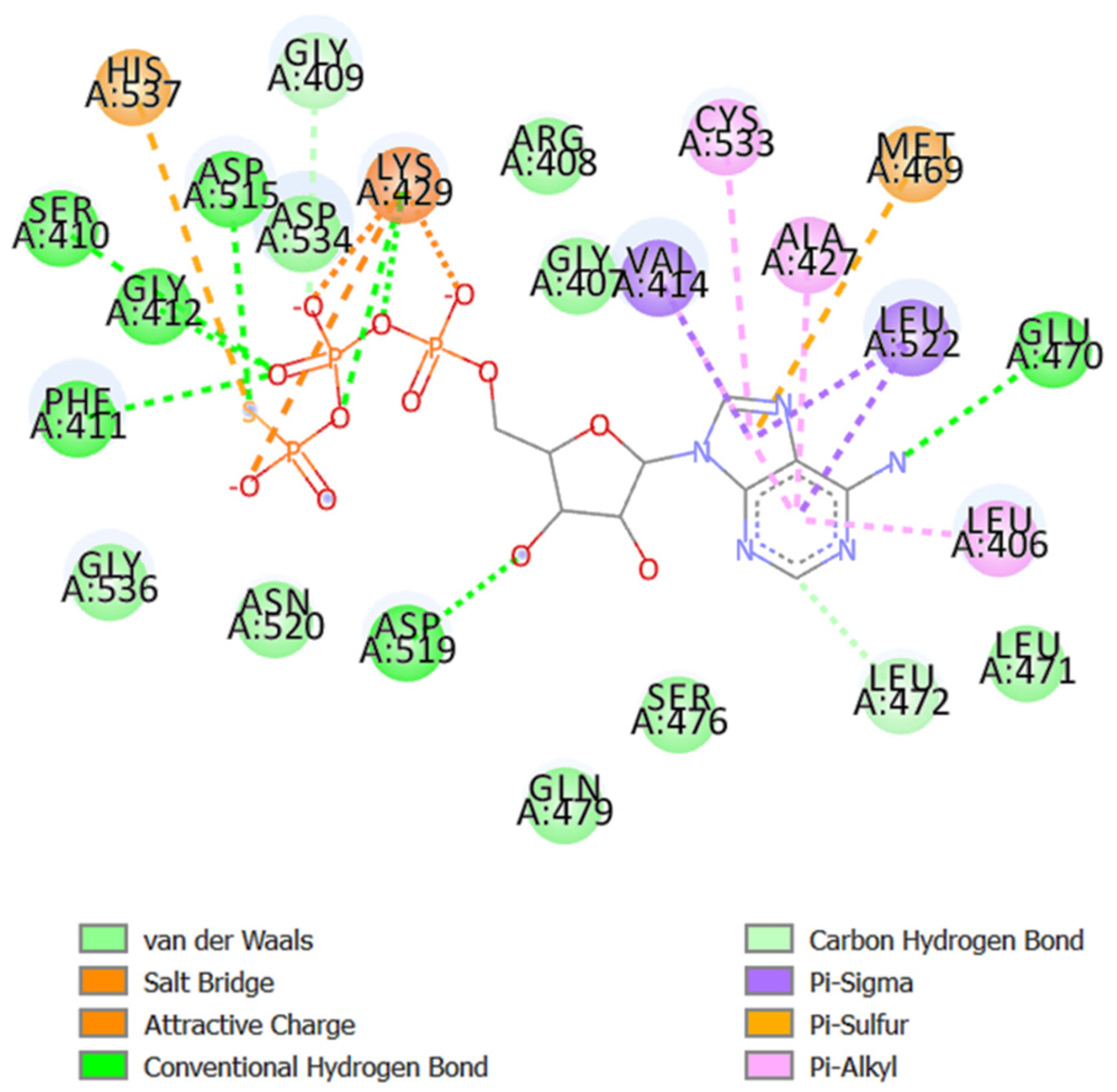 Molecules 31 01814 g005 Molecules 31 01814 g005