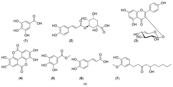 Molecules 31 01821 g001a Molecules 31 01821 g001a