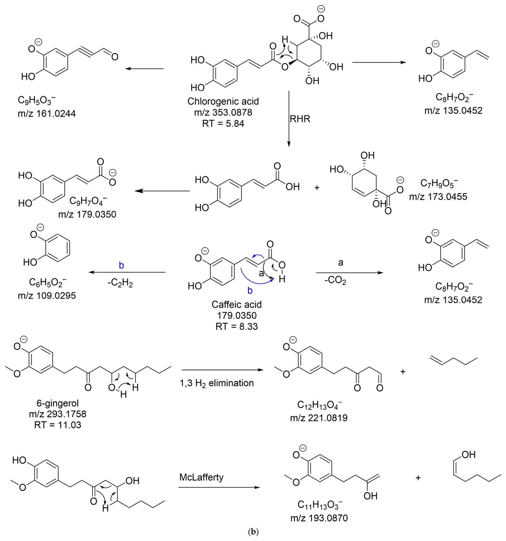 Molecules 31 01821 g001b Molecules 31 01821 g001b