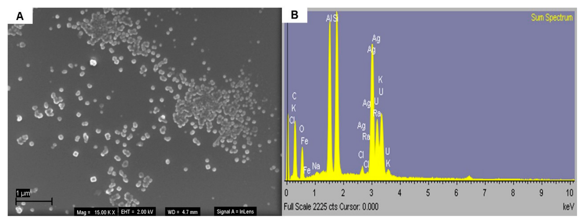 Molecules 31 01821 g008 Molecules 31 01821 g008
