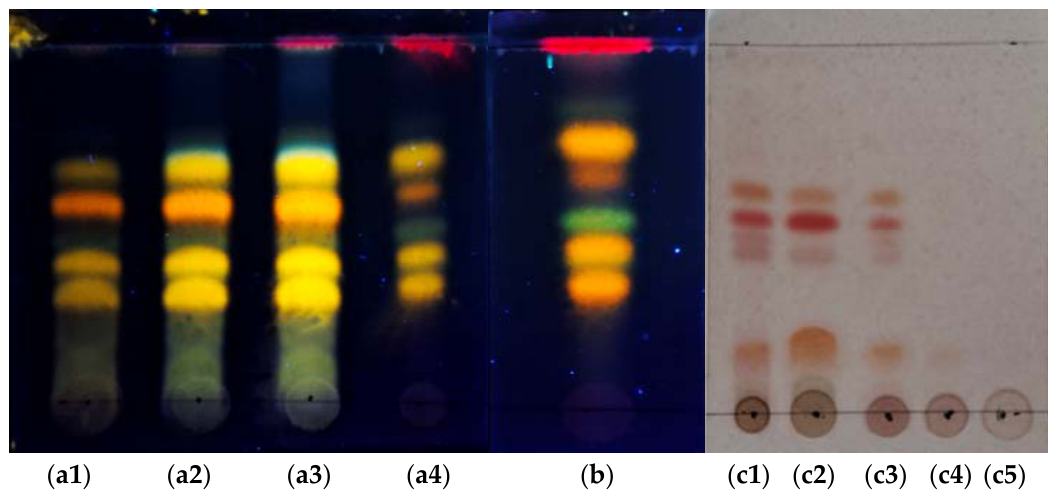 Molecules 31 01845 g003