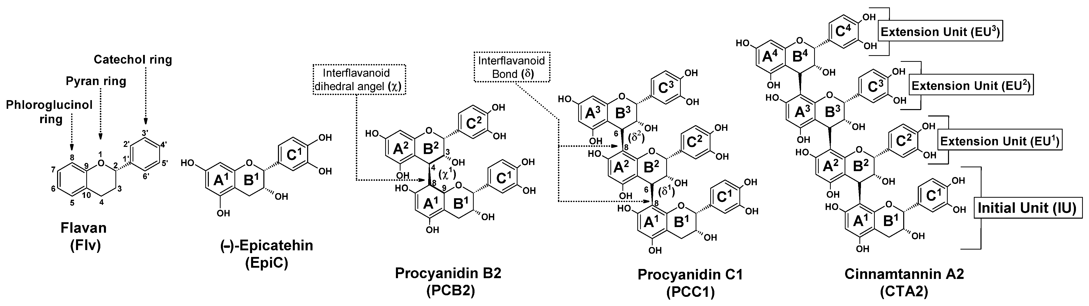 Molecules 31 01876 g001 Molecules 31 01876 g001