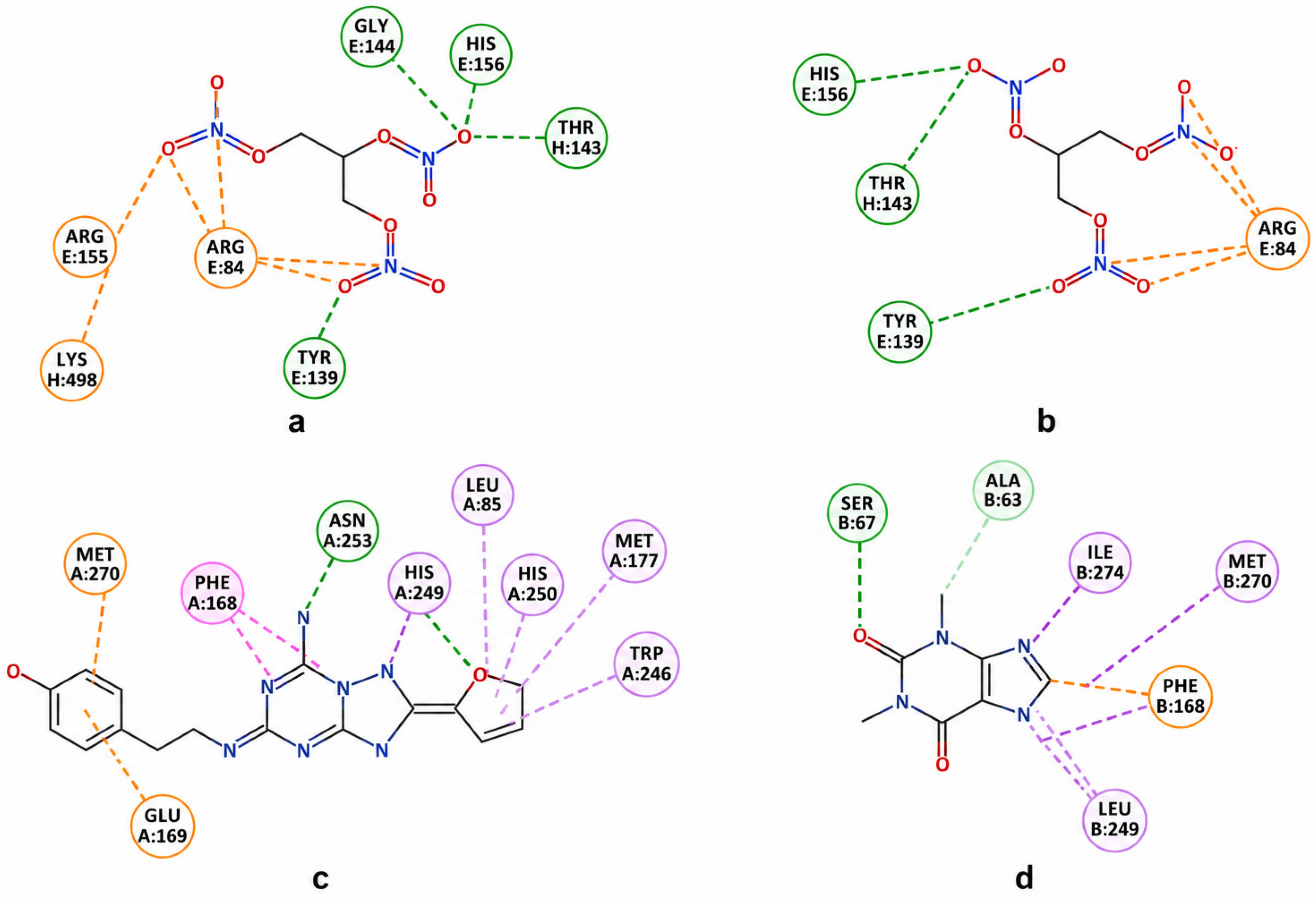 Molecules 31 01946 g005 Molecules 31 01946 g005