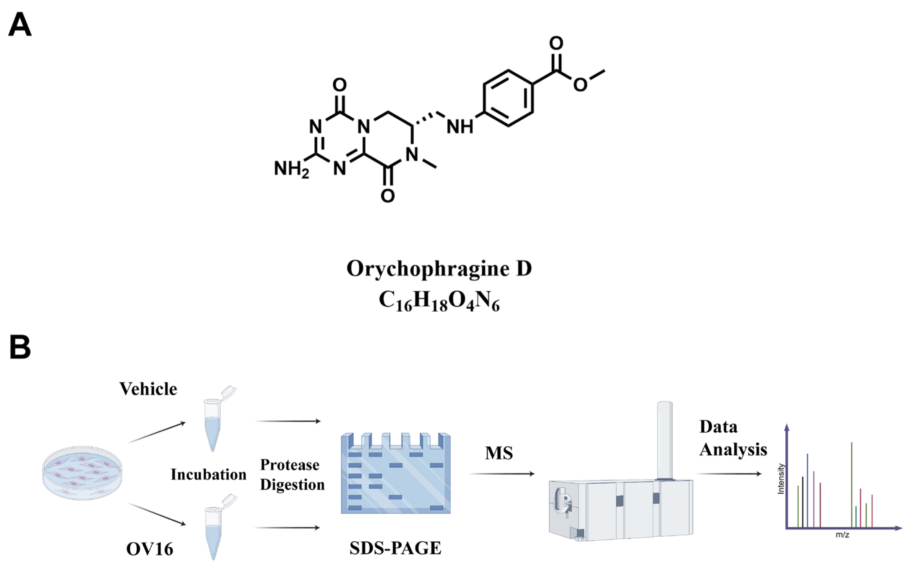Molecules 31 01983 g001 Molecules 31 01983 g001