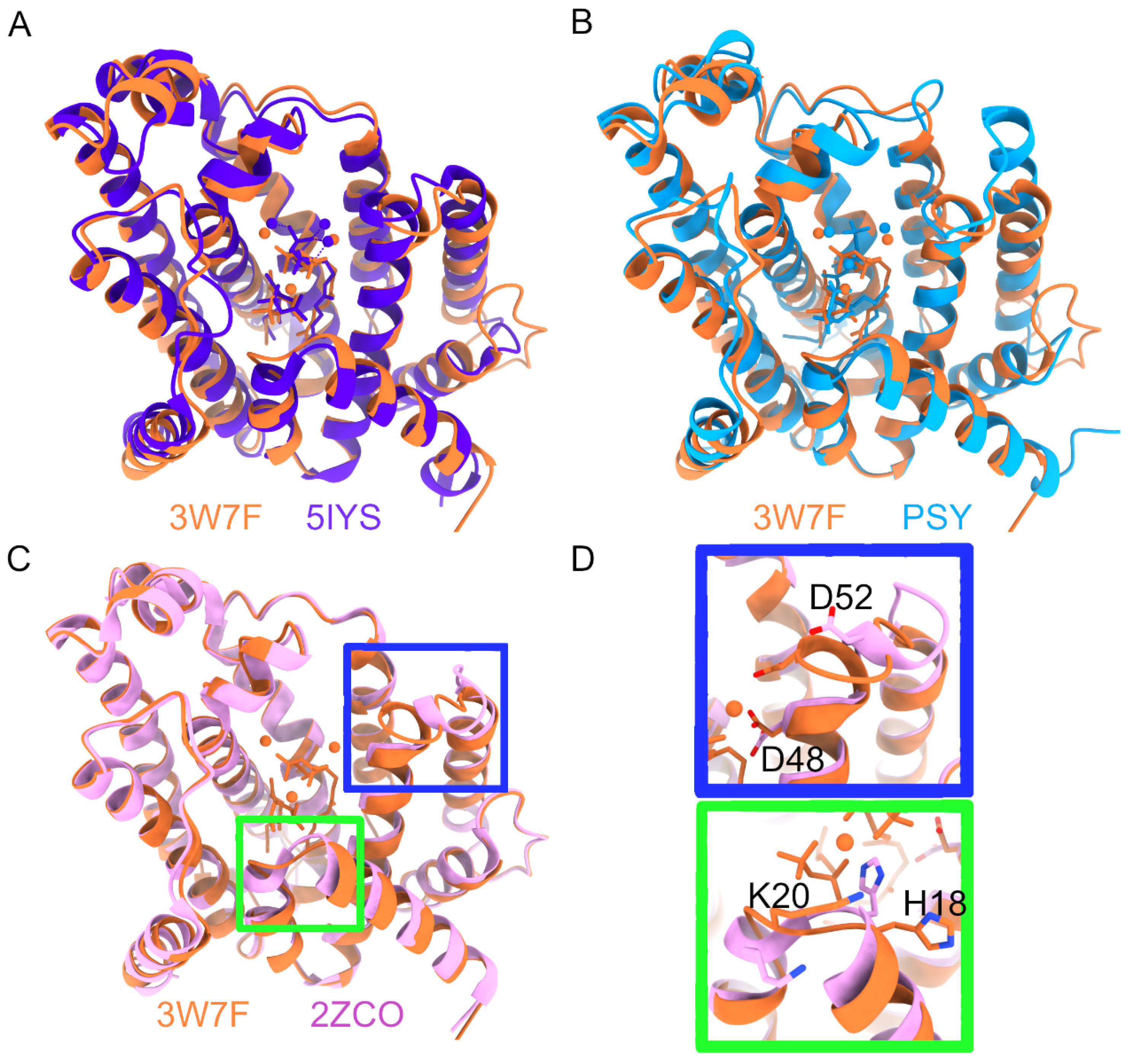 Molecules 31 01995 g002 Molecules 31 01995 g002