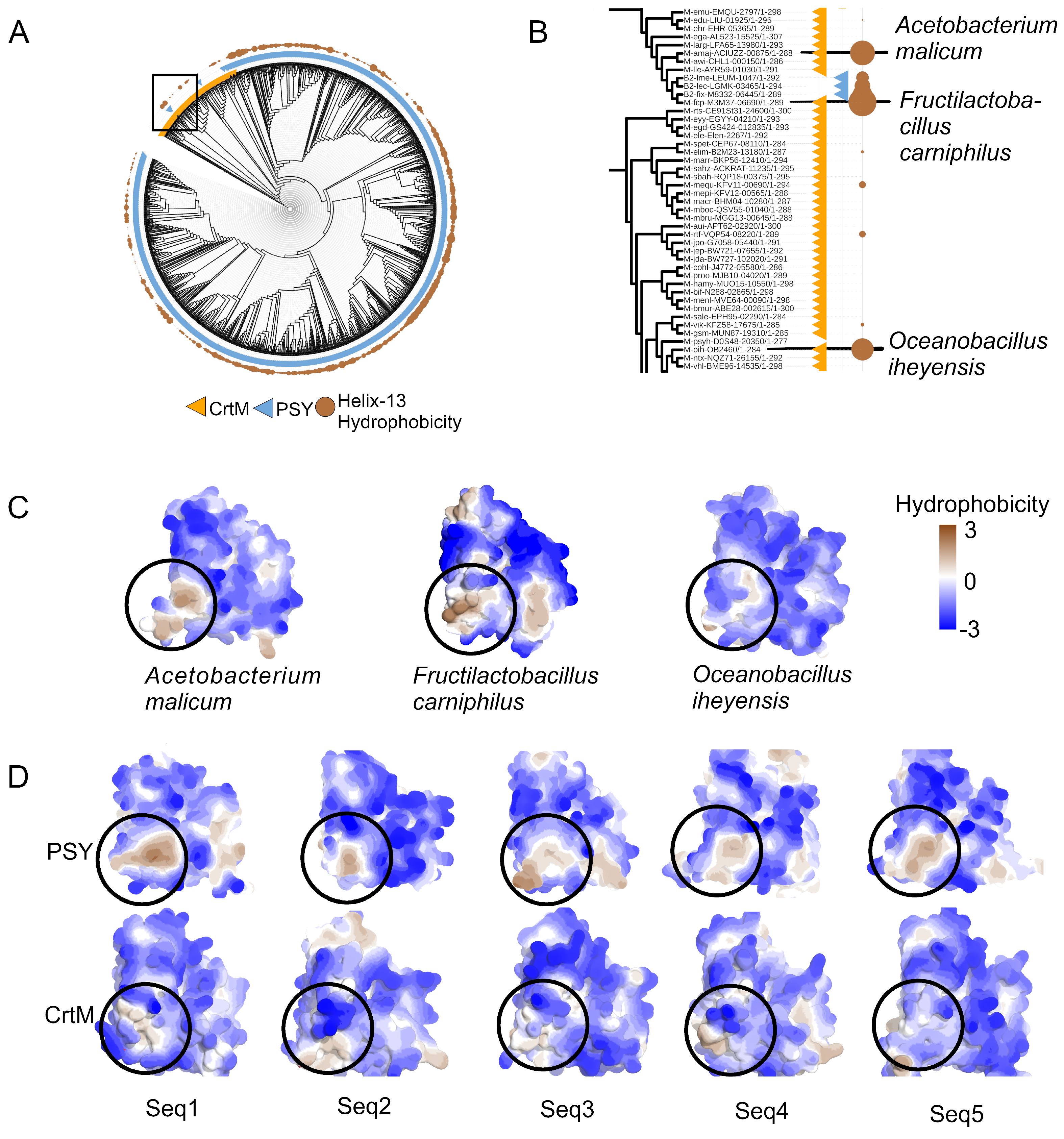 Molecules 31 01995 g009 Molecules 31 01995 g009