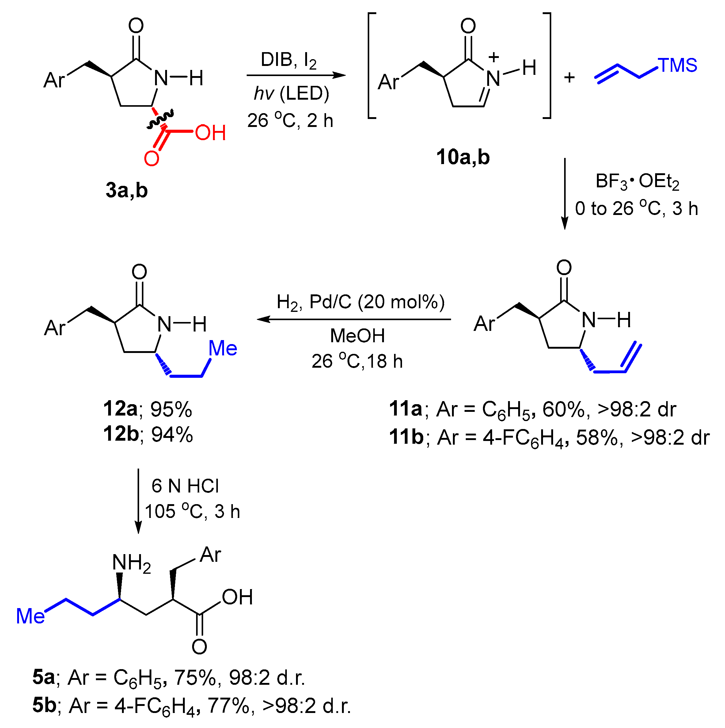 Molecules 31 02087 sch004