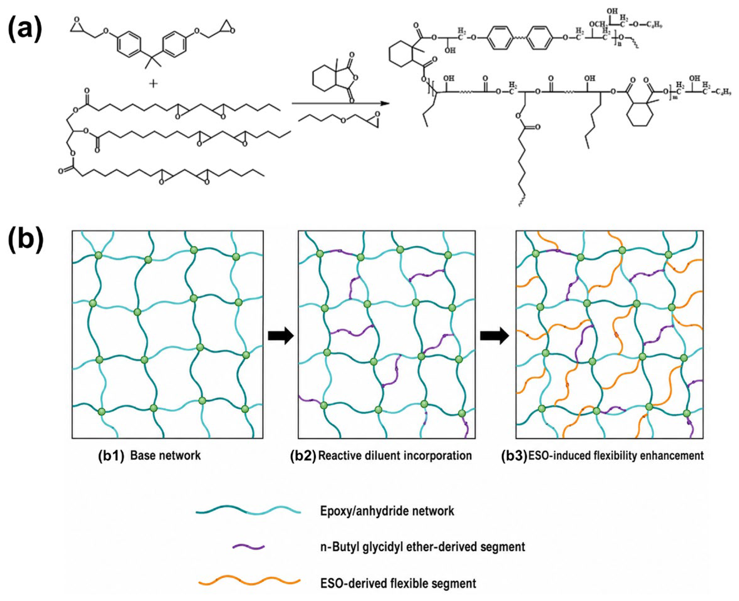 Molecules 31 02097 g007 Molecules 31 02097 g007
