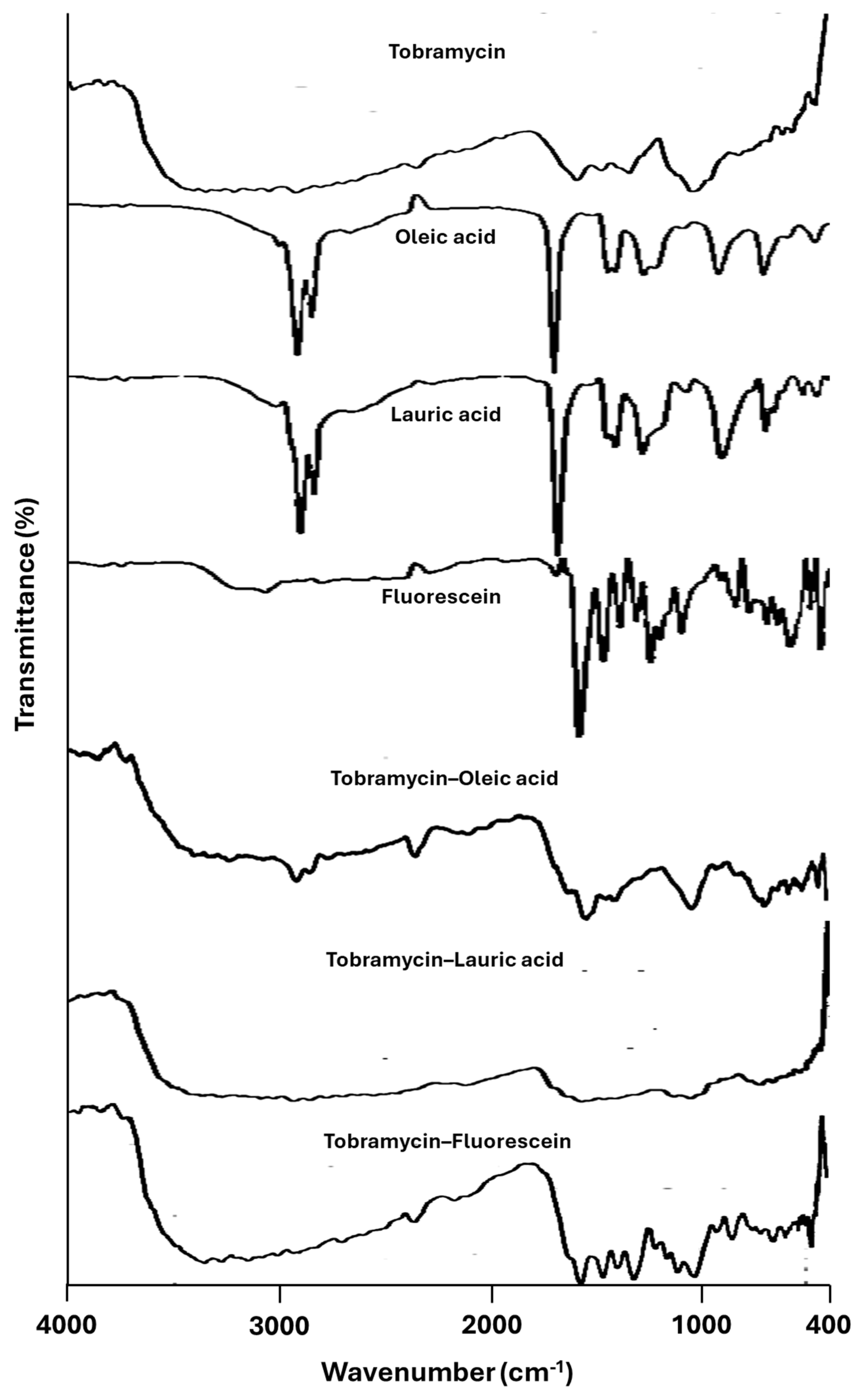 Molecules 31 02139 g004