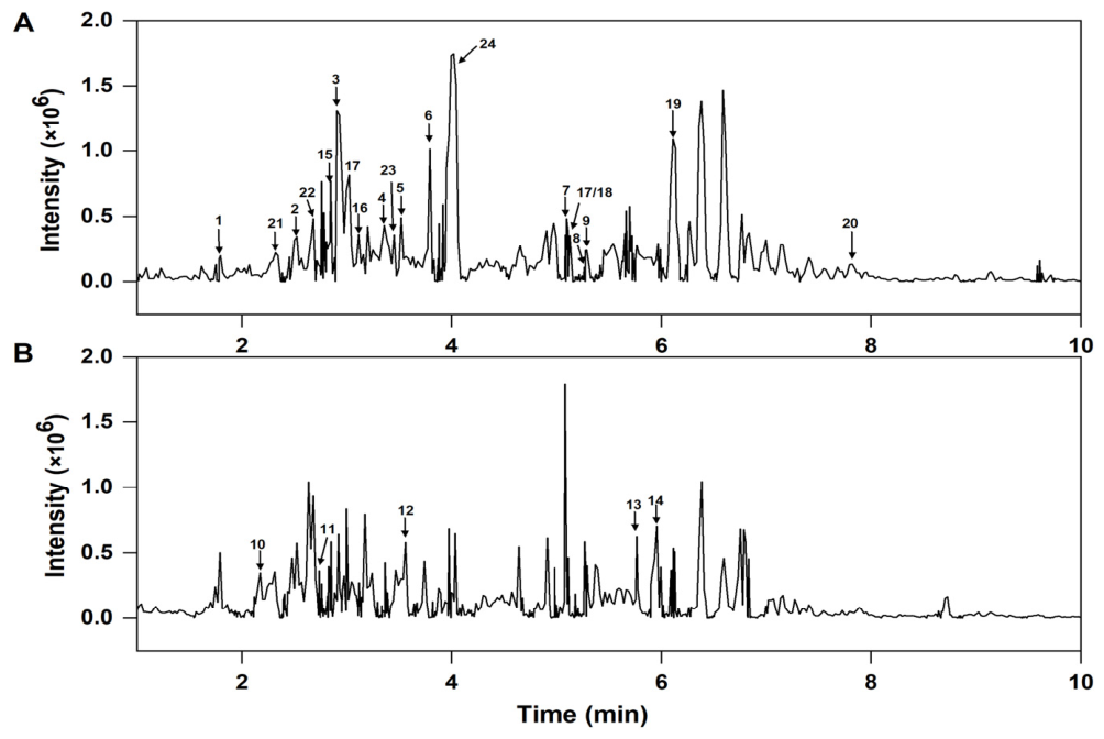 Molecules 31 02146 g001 Molecules 31 02146 g001