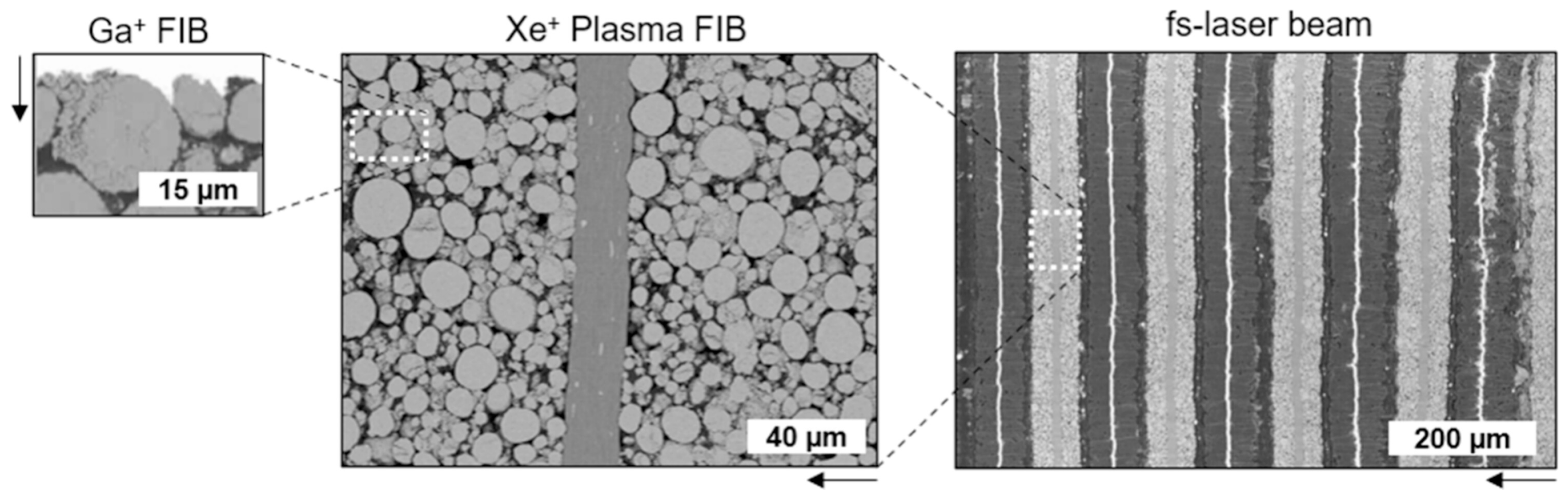 Molecules 31 02148 g005 Molecules 31 02148 g005