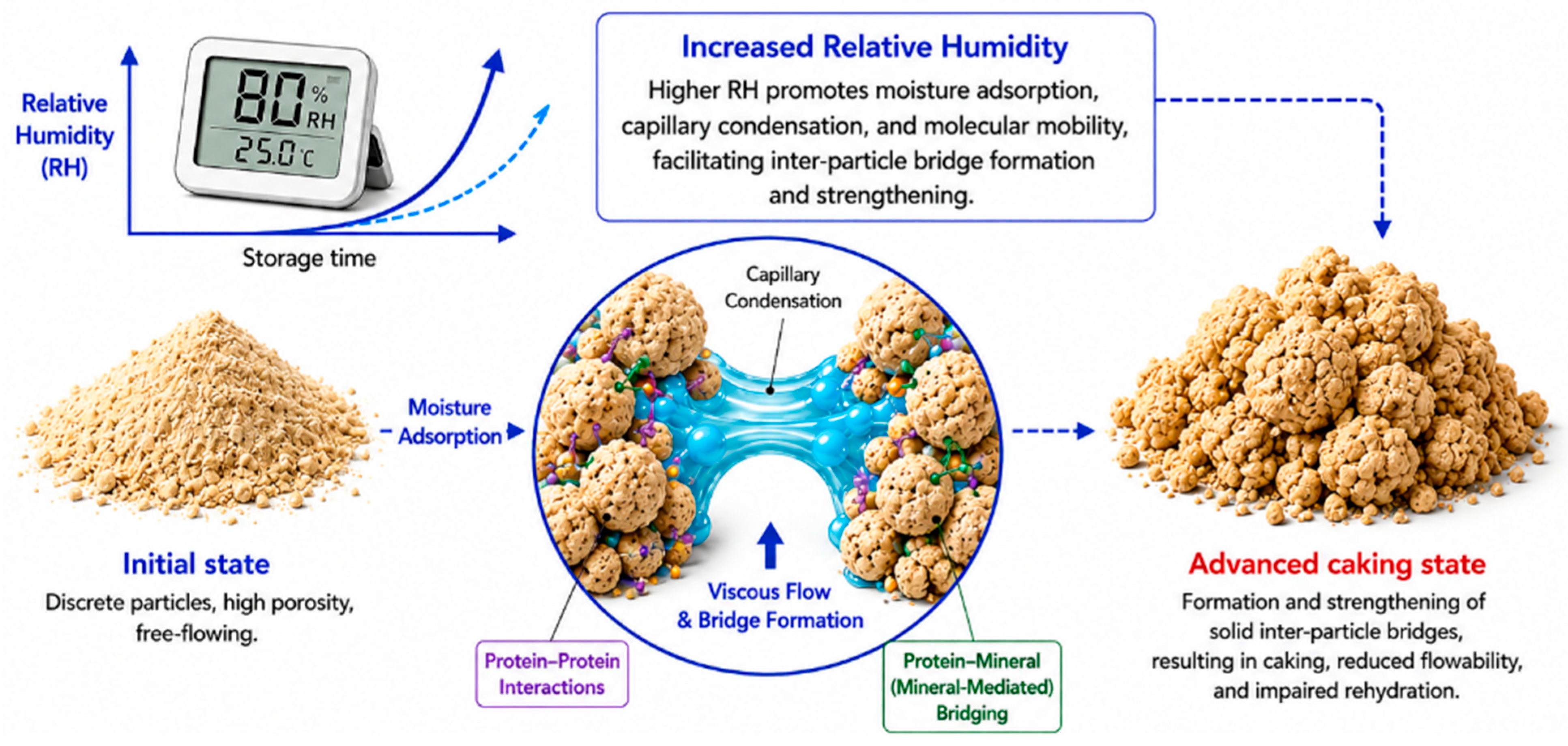 Molecules 31 02230 g004