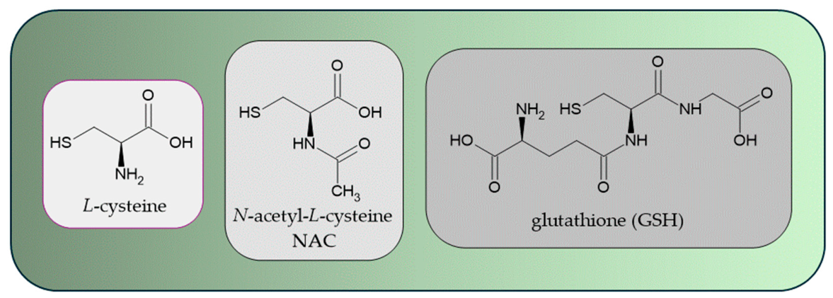 Molecules 31 02264 g001 Molecules 31 02264 g001
