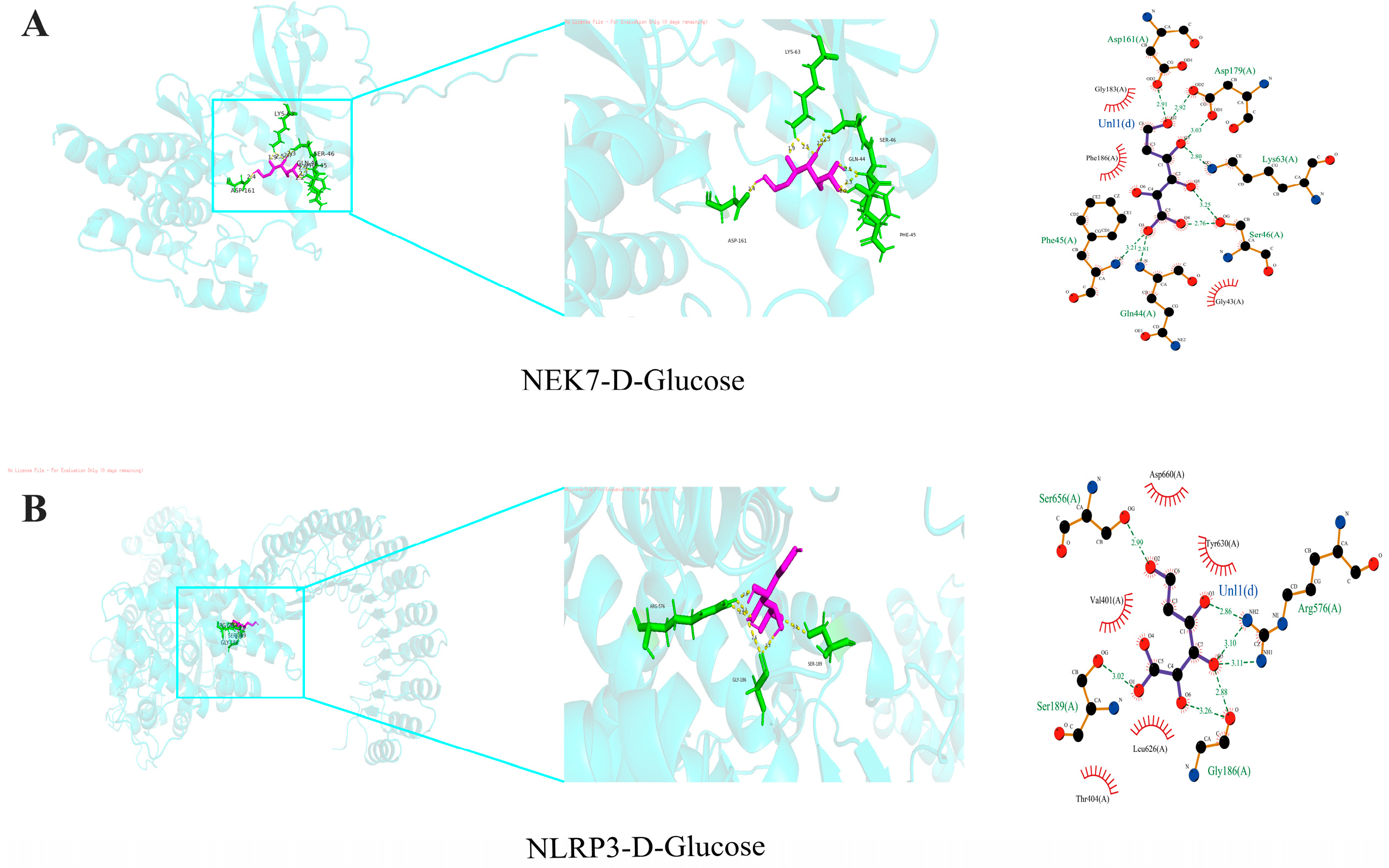 Molecules 31 02271 g005