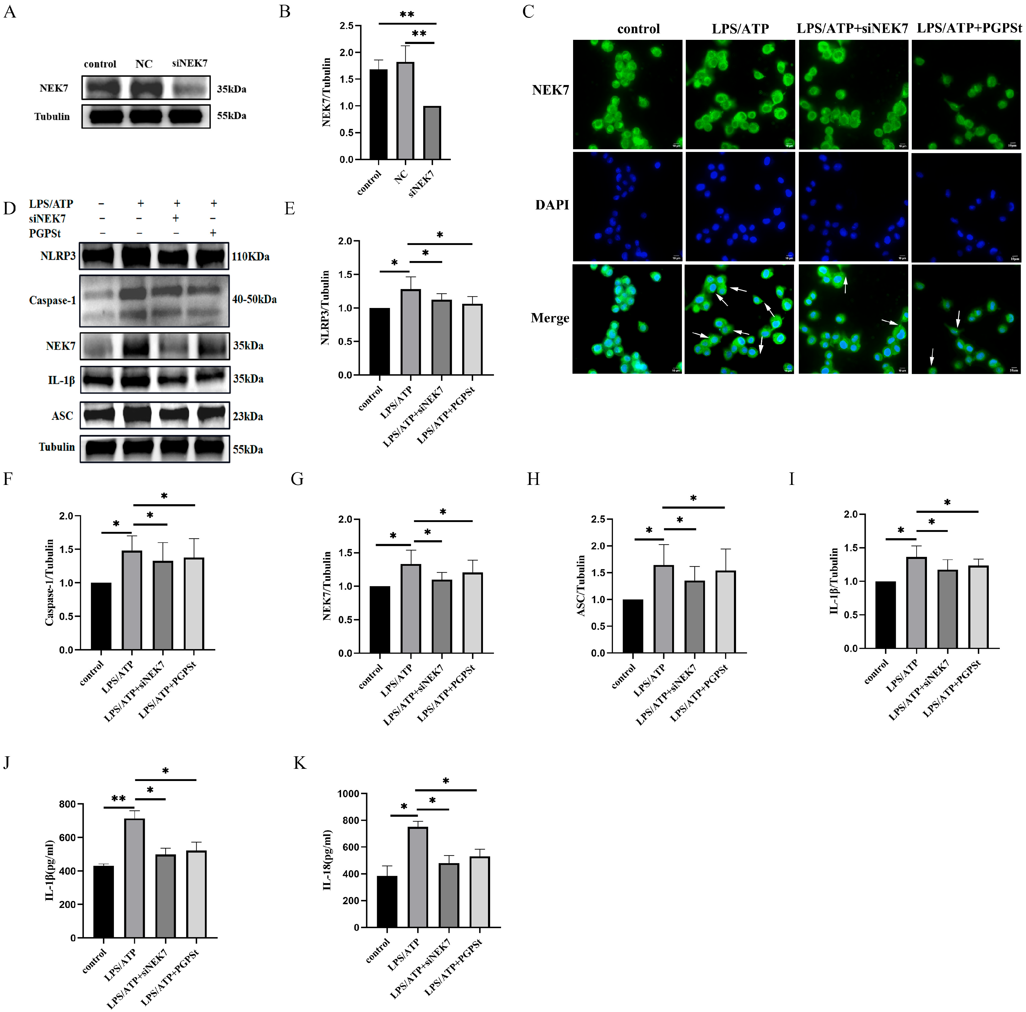 Molecules 31 02271 g007