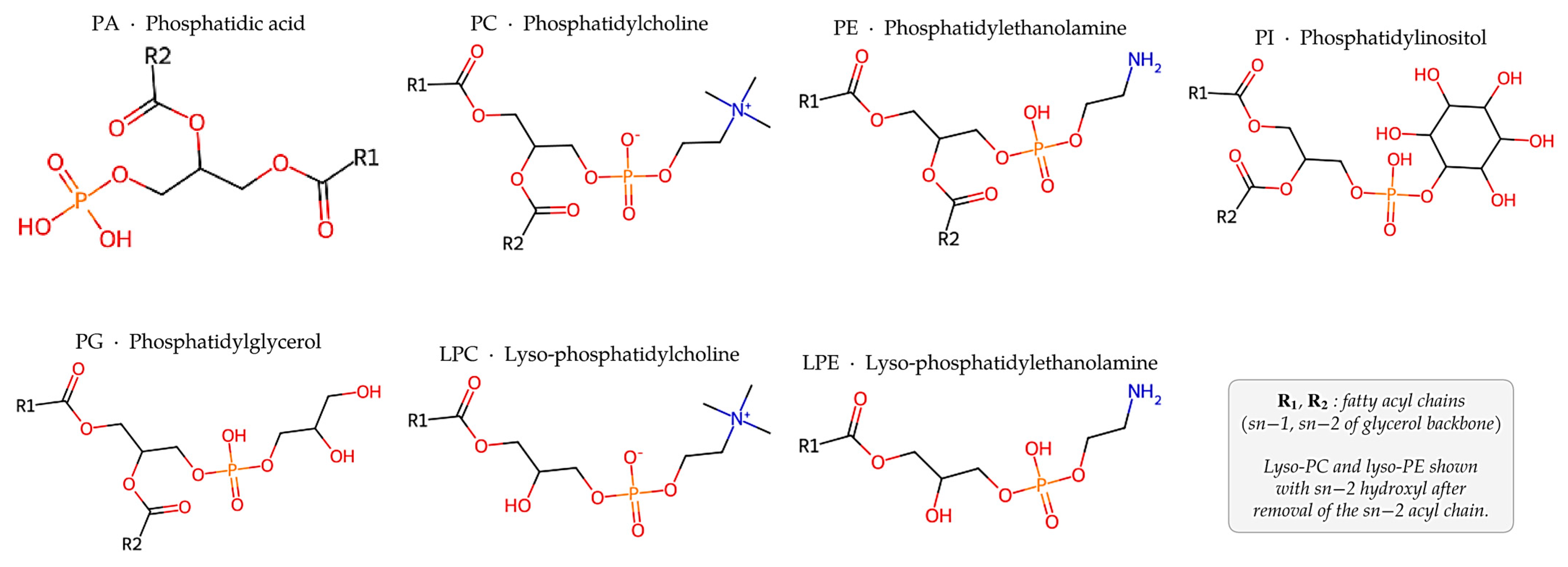 Molecules 31 02274 g001 Molecules 31 02274 g001