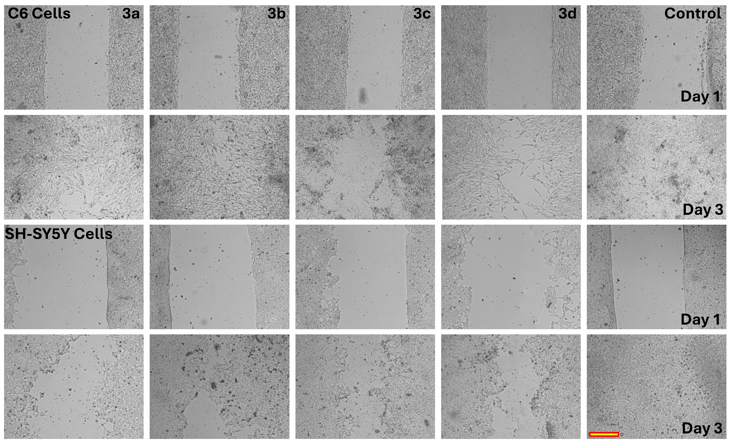 Molecules 31 02281 g006