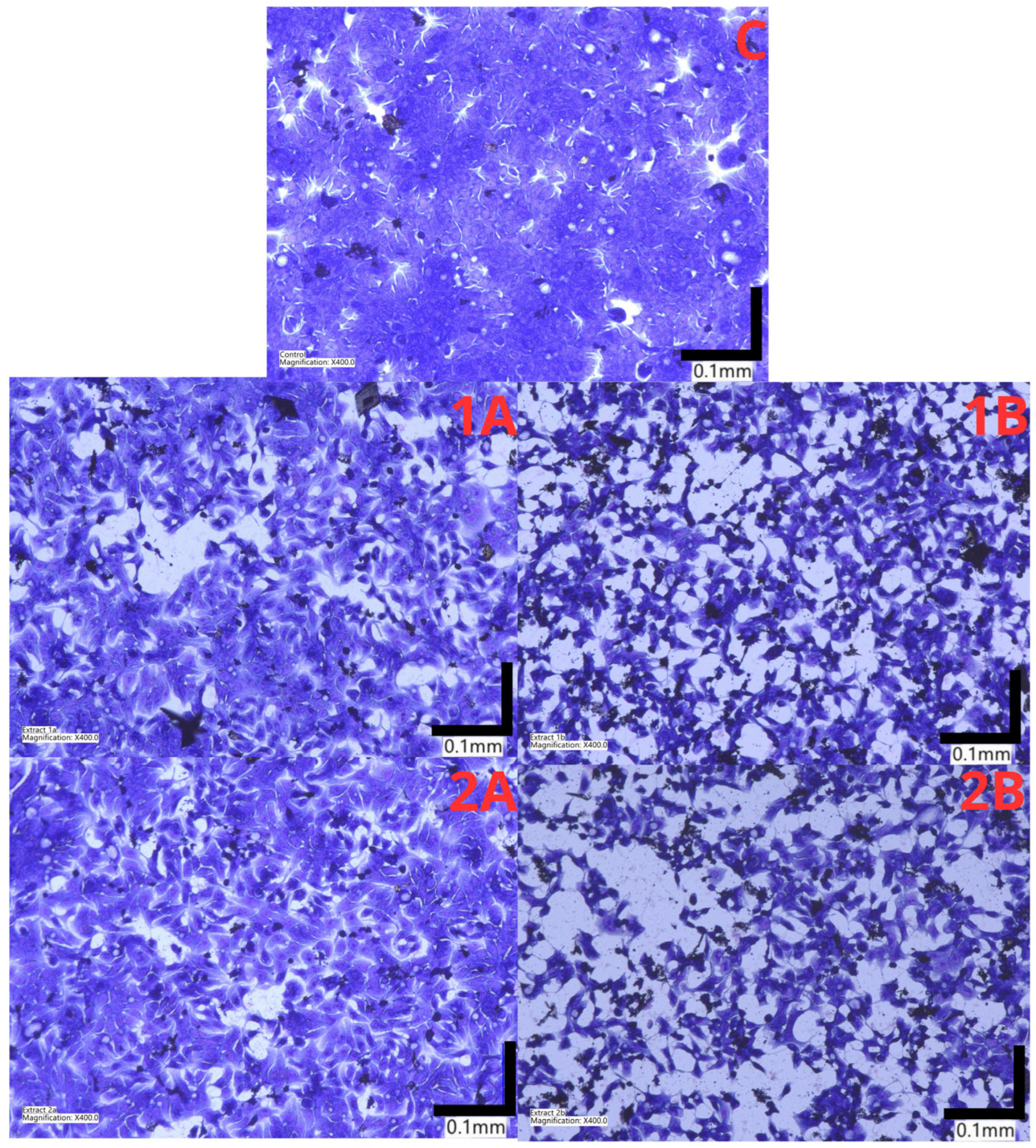 Molecules 31 02295 g006 Molecules 31 02295 g006
