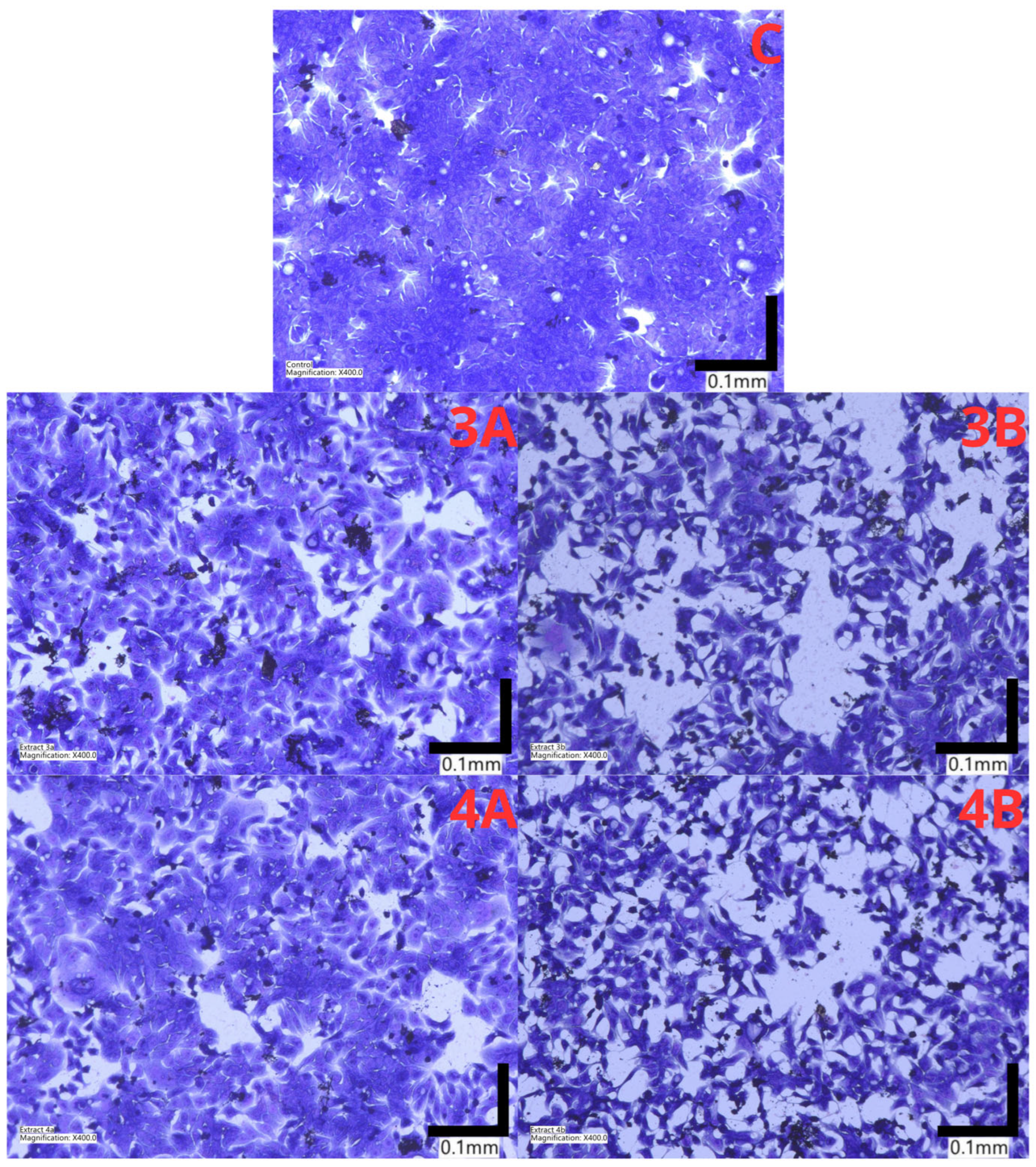 Molecules 31 02295 g007 Molecules 31 02295 g007