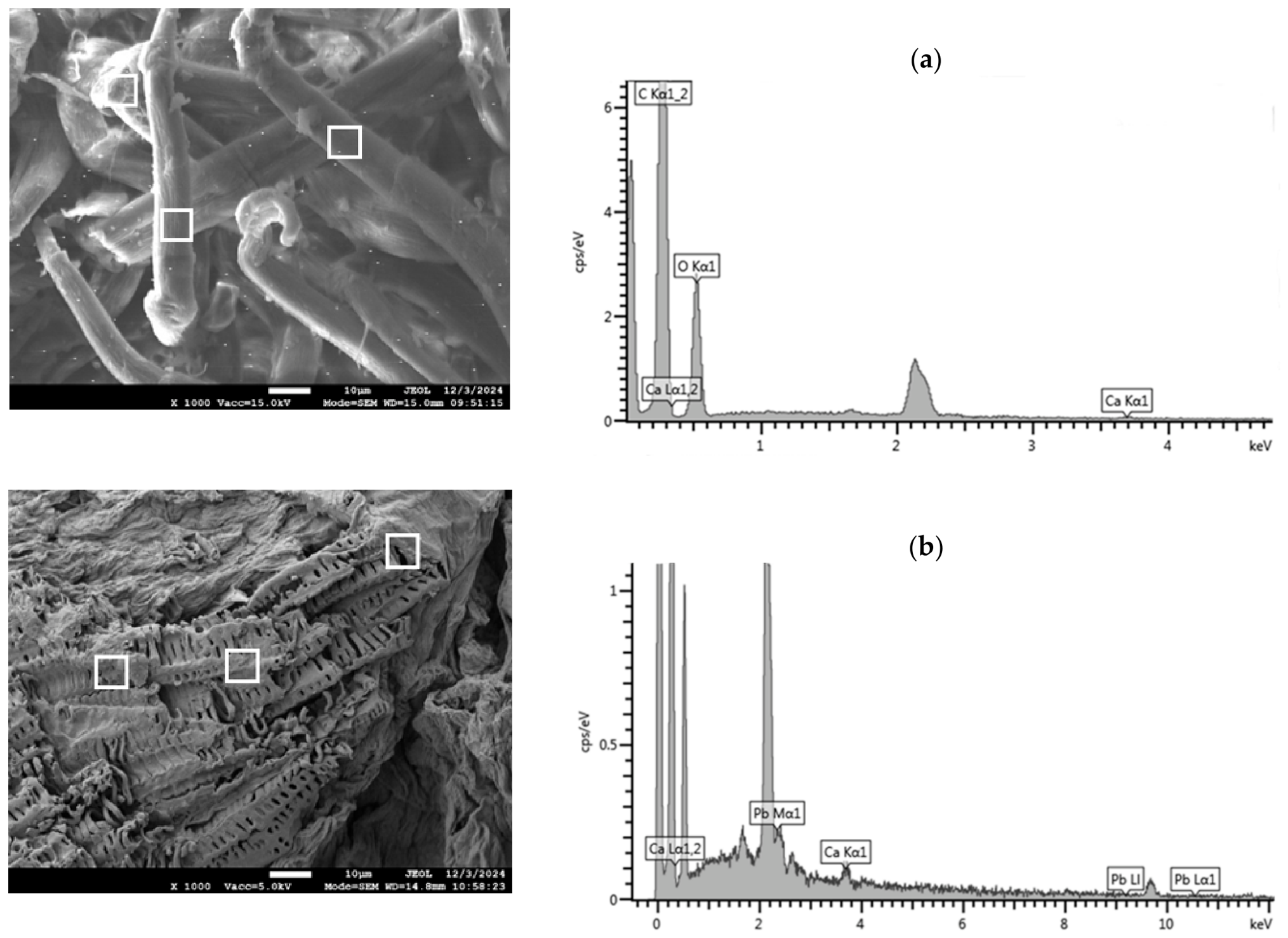 Molecules 31 02311 g003