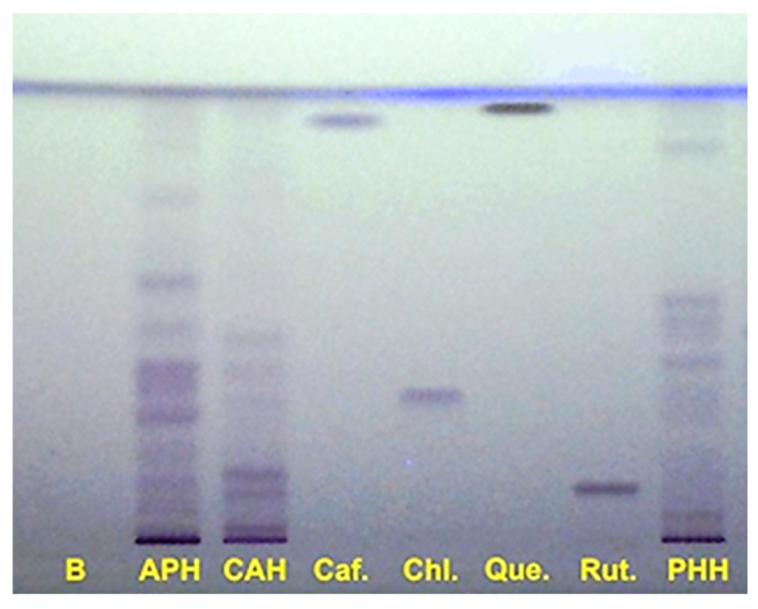 Molecules 31 02316 g001 Molecules 31 02316 g001