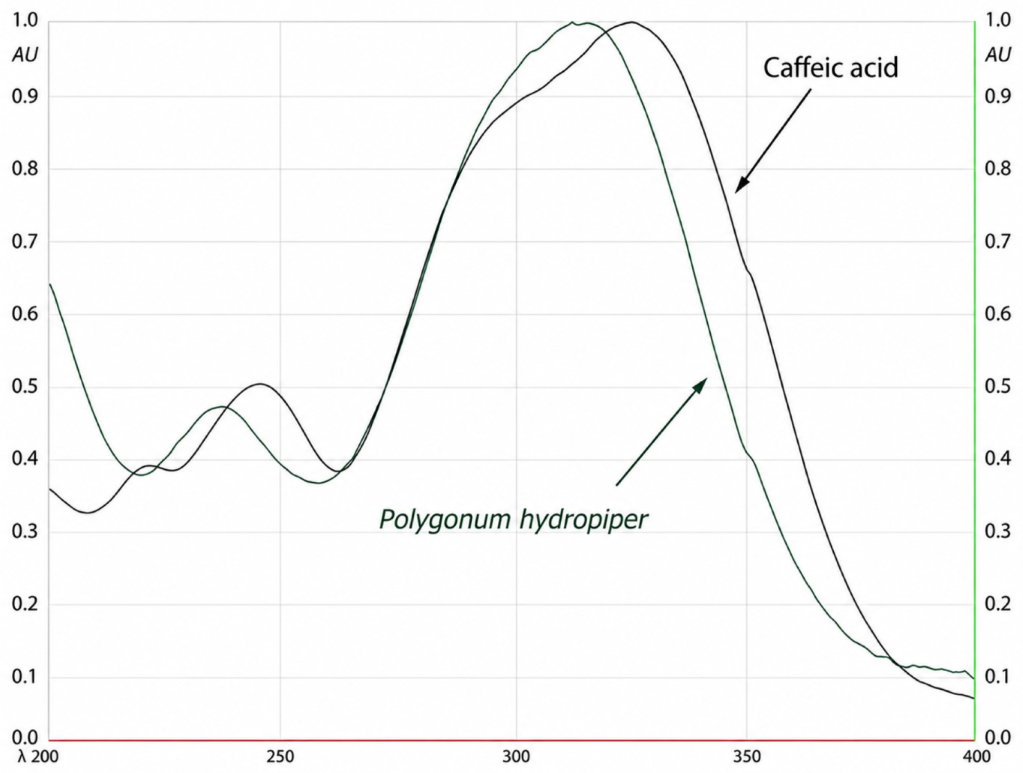 Molecules 31 02316 g009 Molecules 31 02316 g009