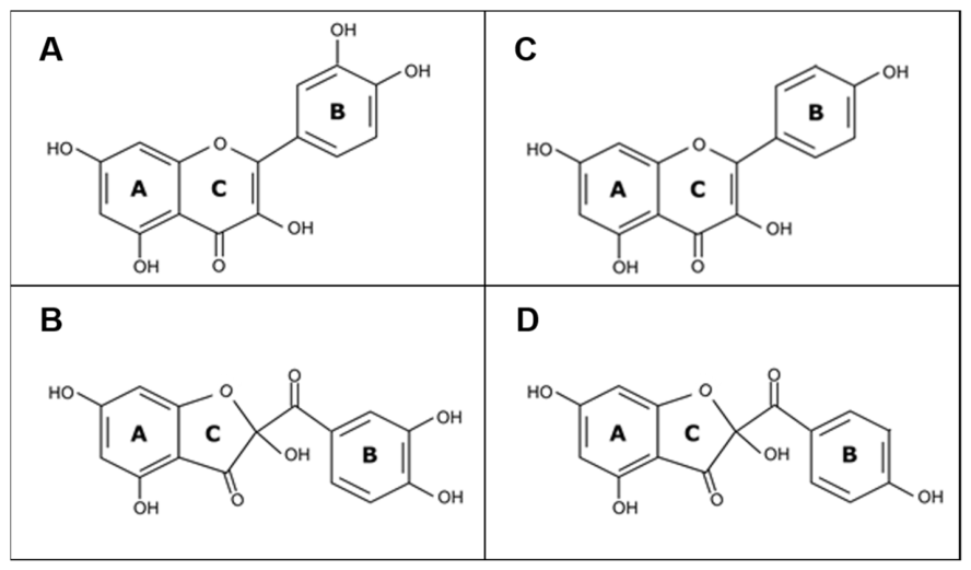 Molecules 31 02320 g001 Molecules 31 02320 g001