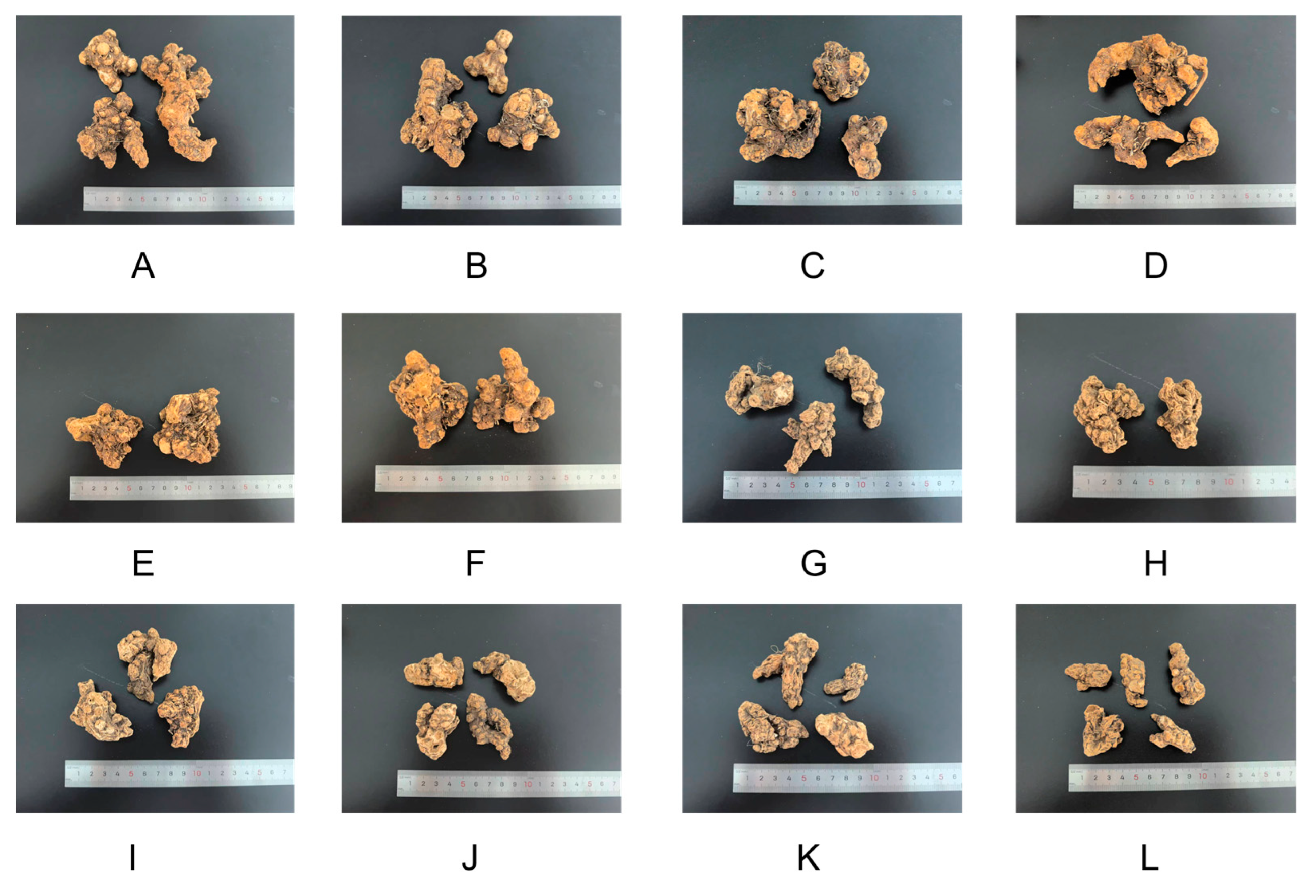 Molecules 31 02350 g014 Molecules 31 02350 g014